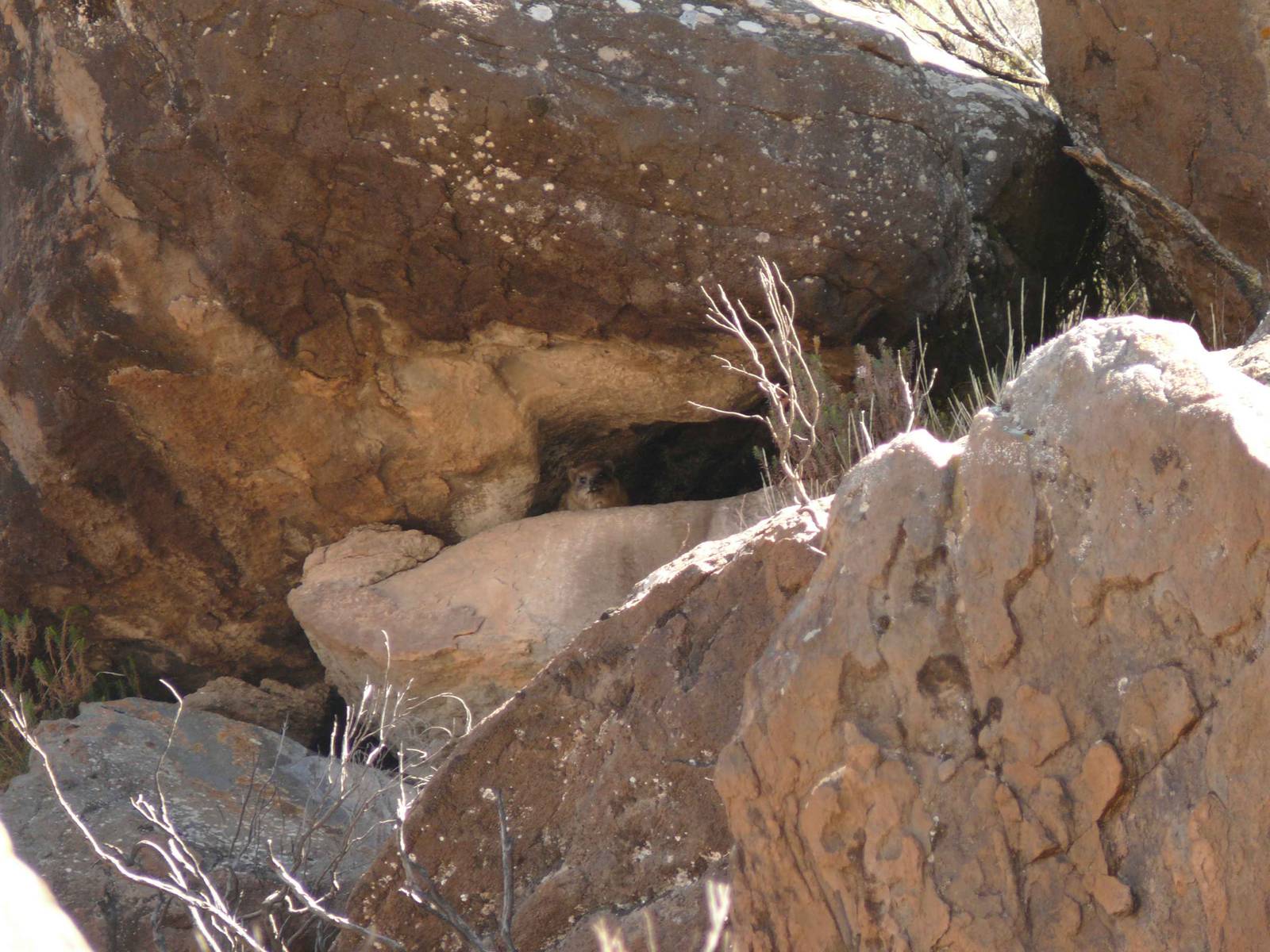 Bale mountain national park