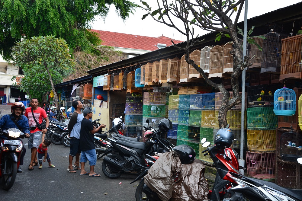 Bali bird market