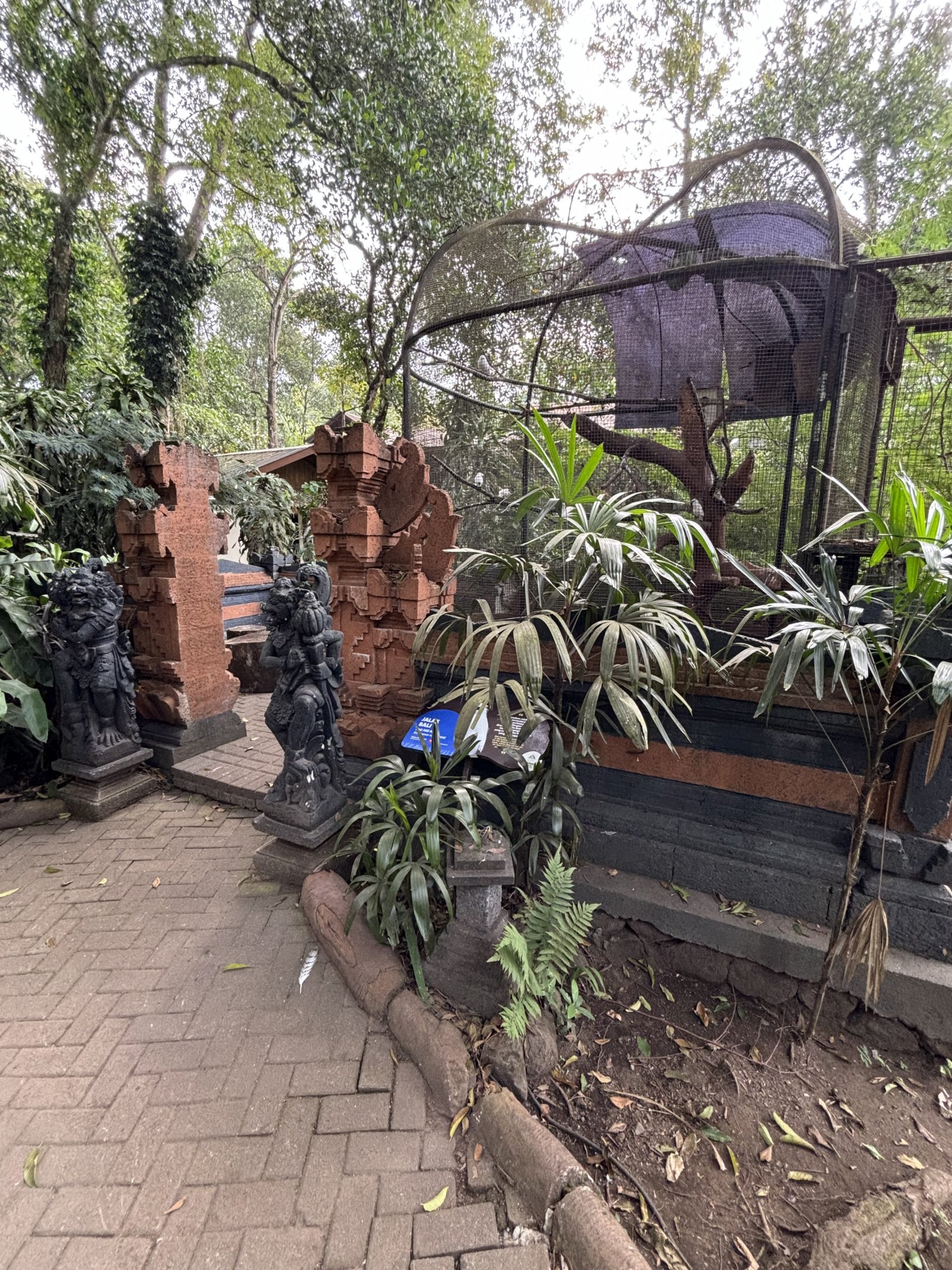 Bali Myna Aviary - Bird Forest