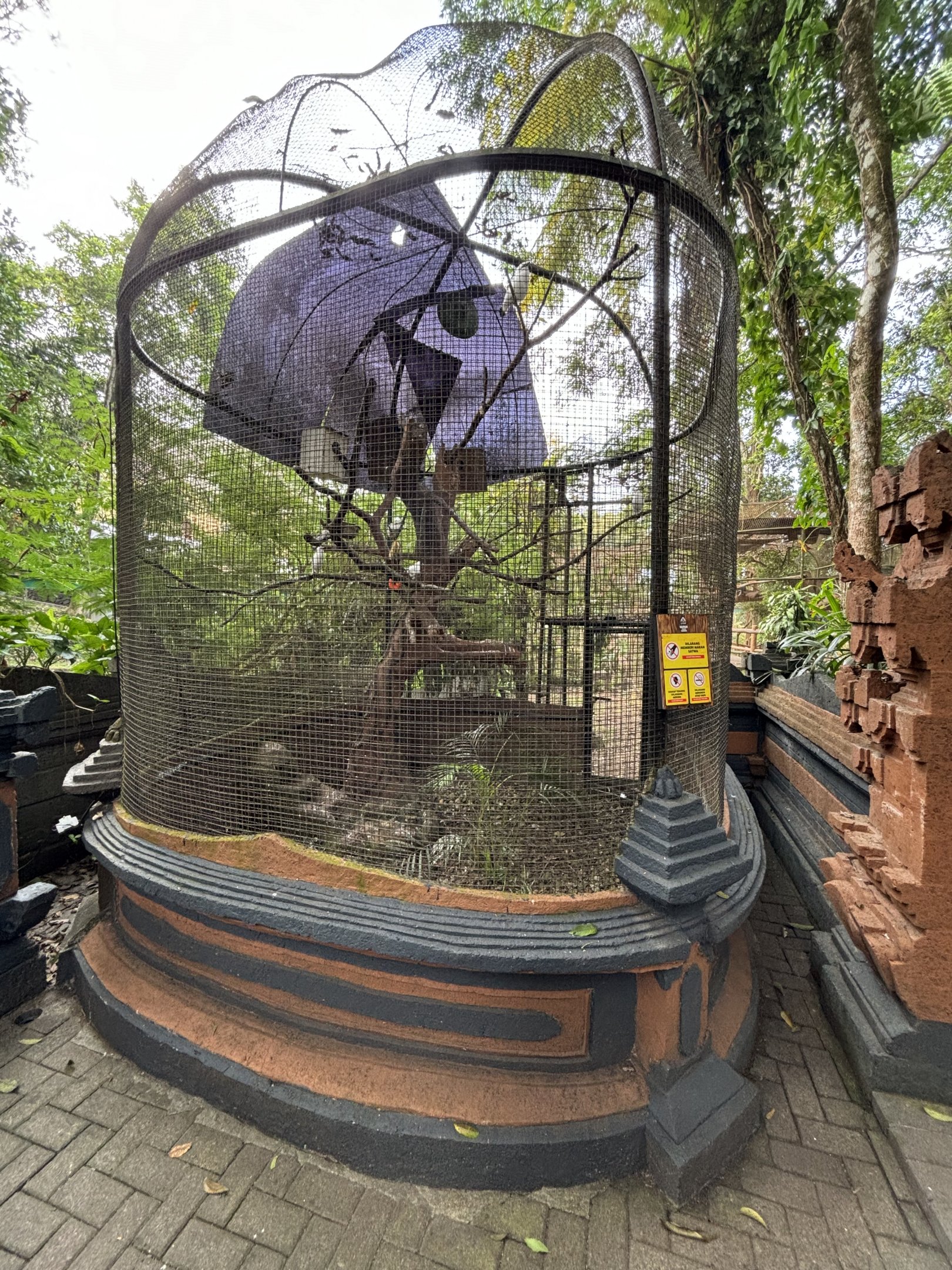 Bali Myna Aviary - Bird Forest