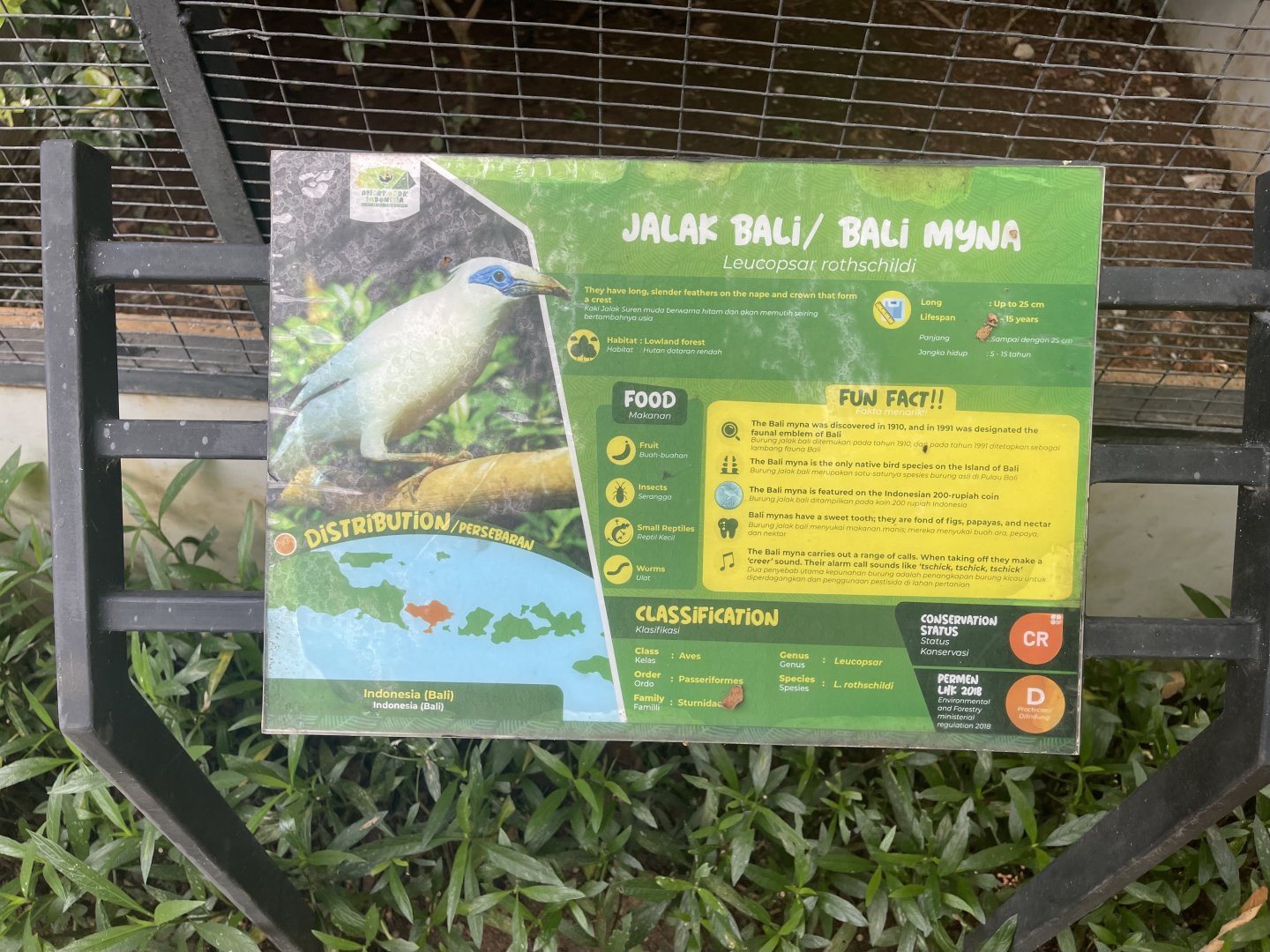 bali myna signage - aviary park