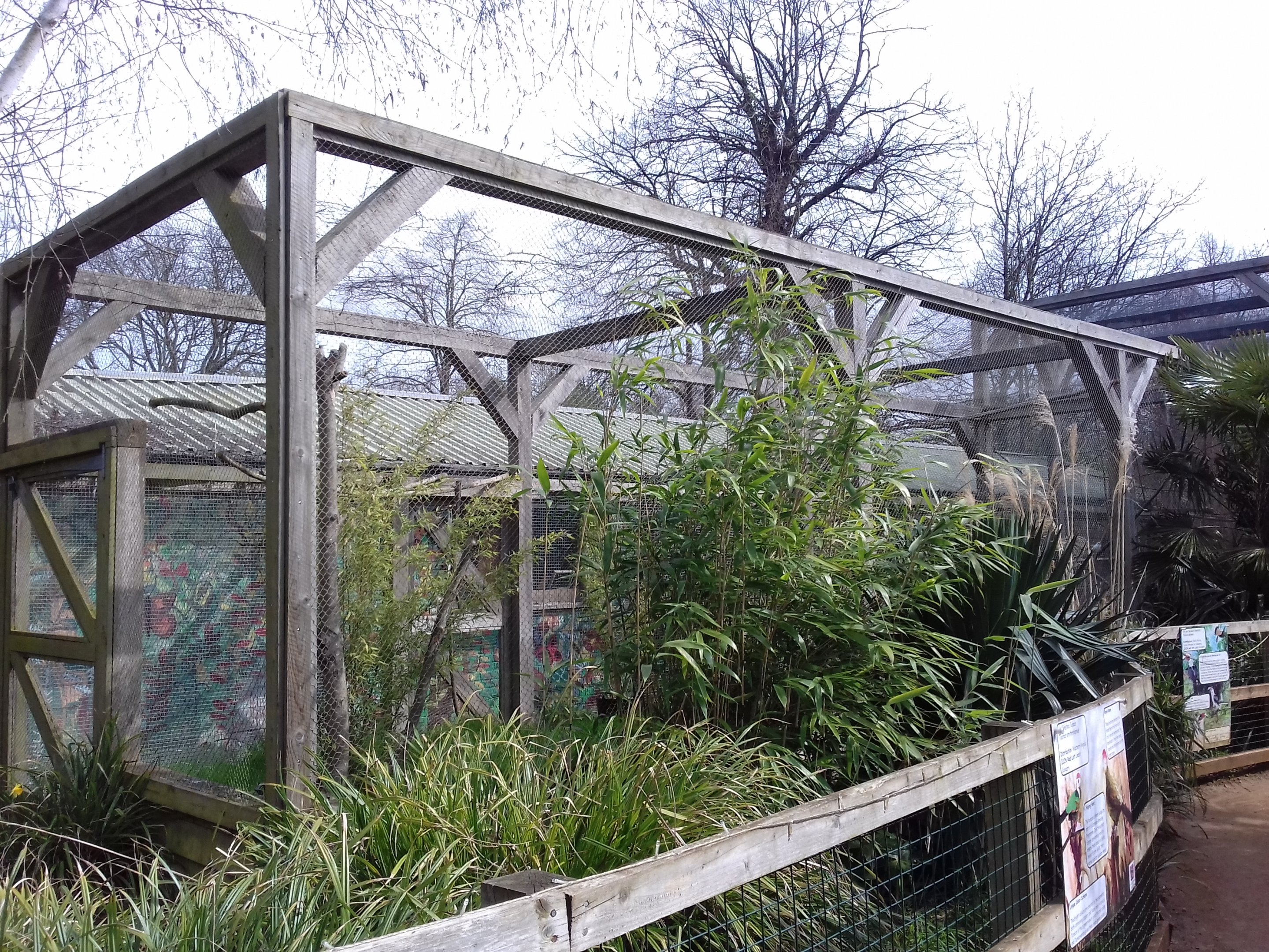 Bali Mynah and hornbill enclosure