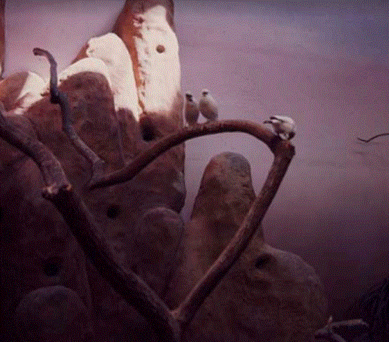 Bali Mynah in Desert Exhibit 1976