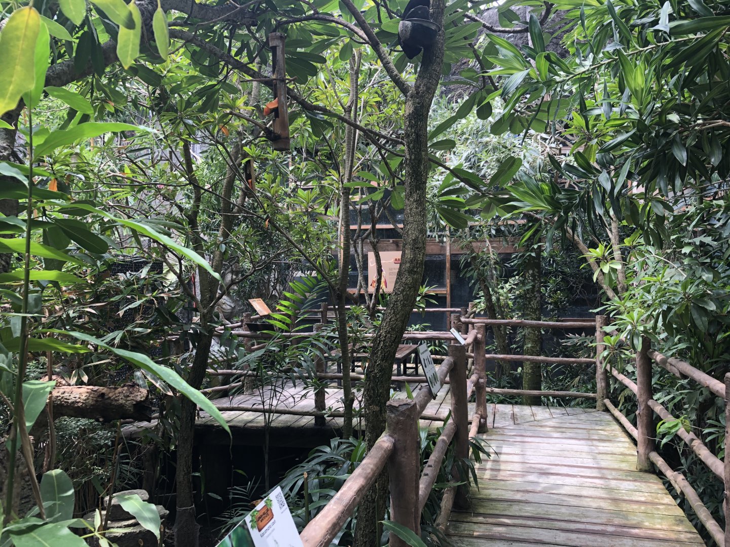 Bali Starling Aviary