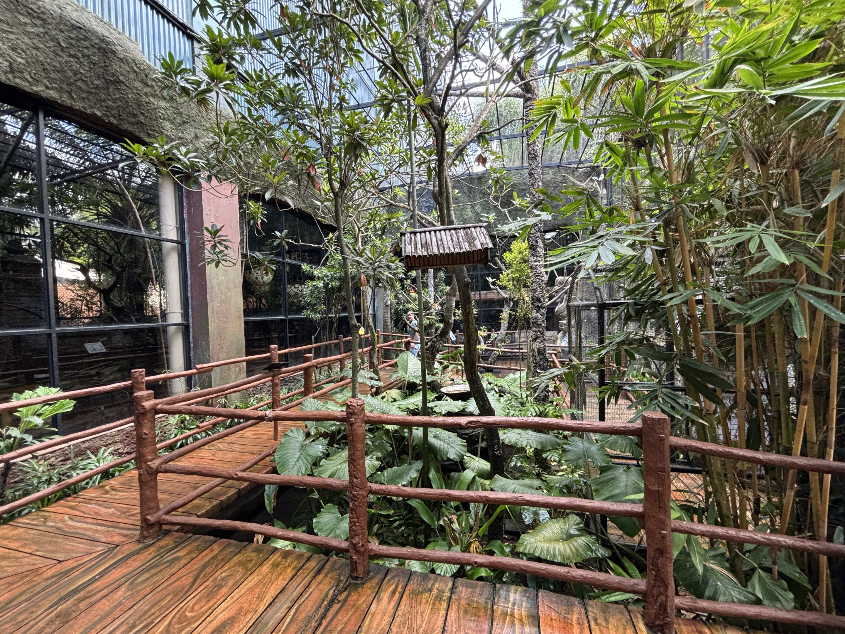 Bali Starling Aviary