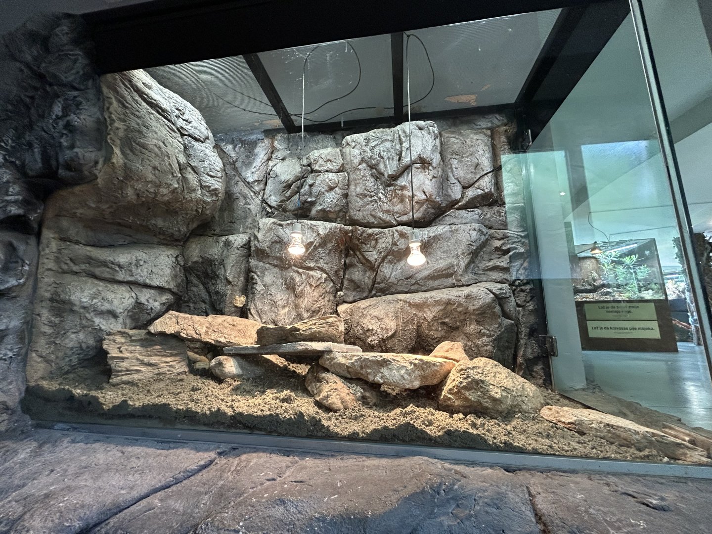 Balkan Snow Vole Exhibit