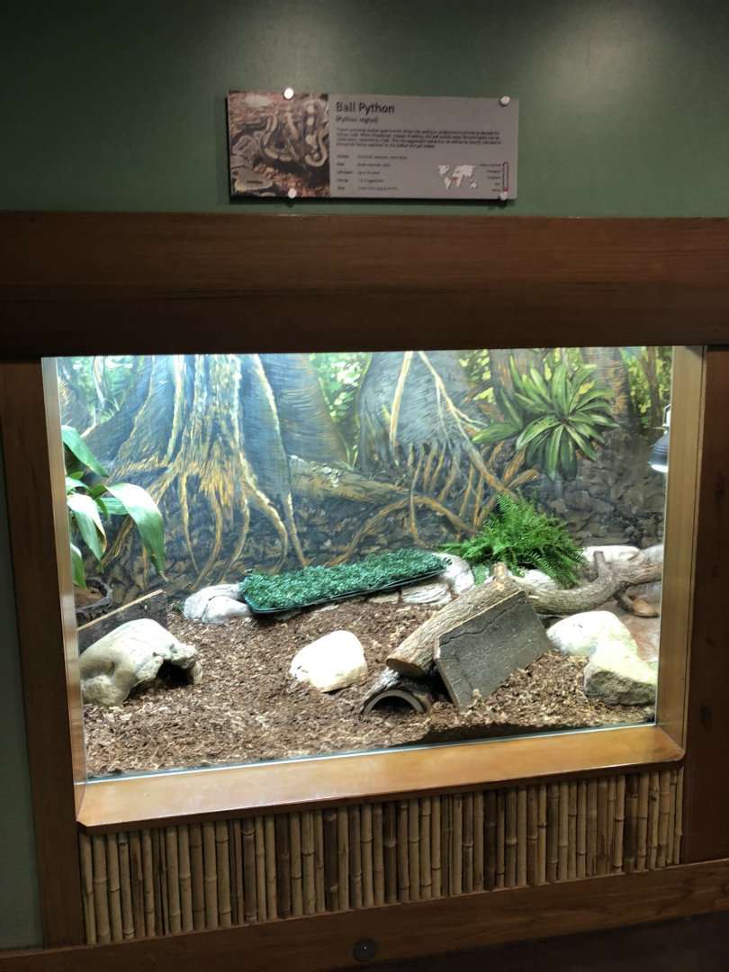Ball Python Enclosure at Edmoton Valley Zoo (July 2022)
