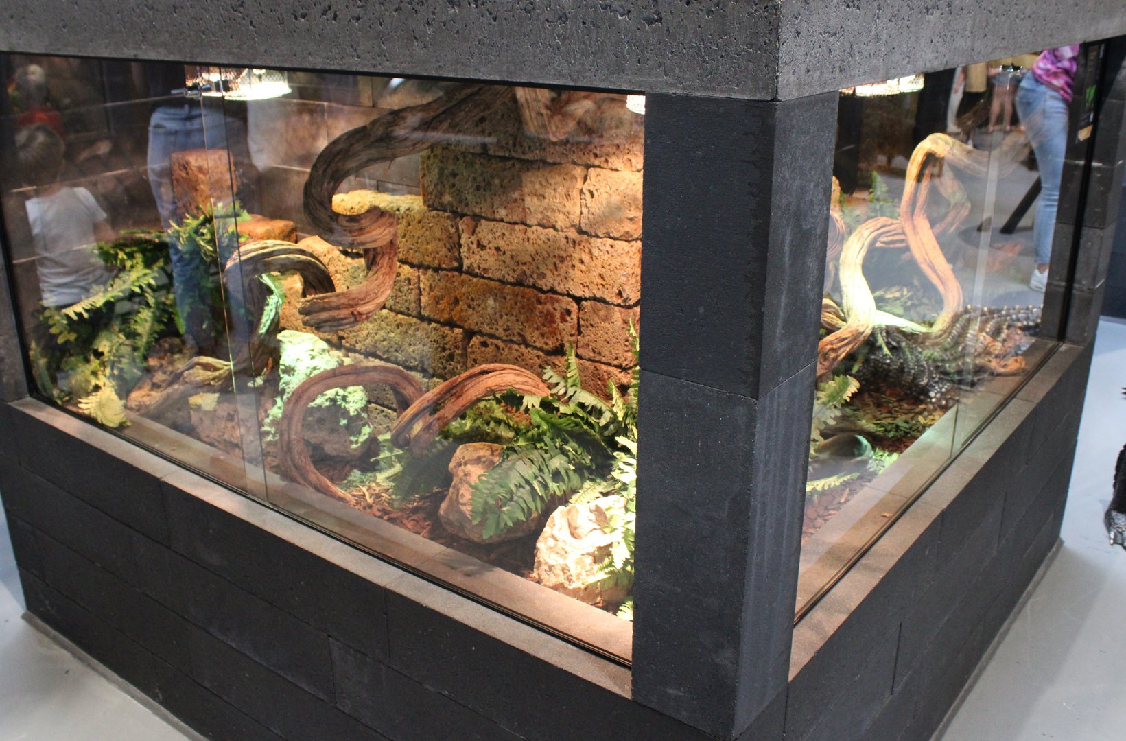 Ball python enclosure