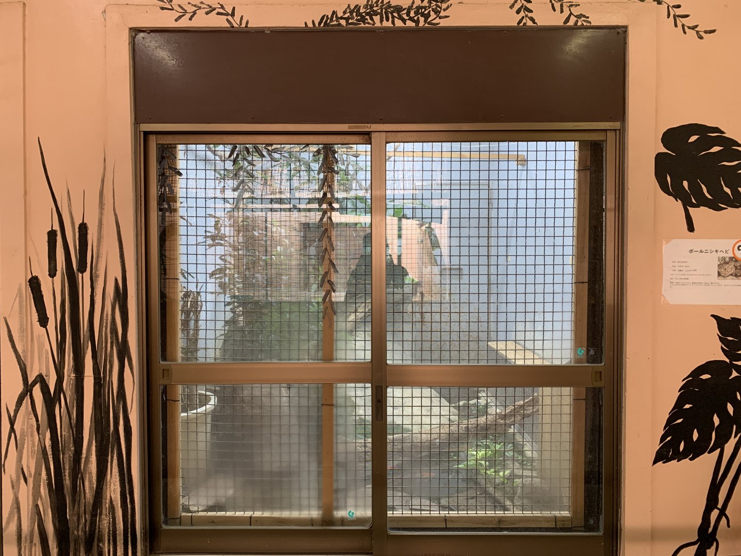 Ball Python Exhibit (Himeji City Zoo)