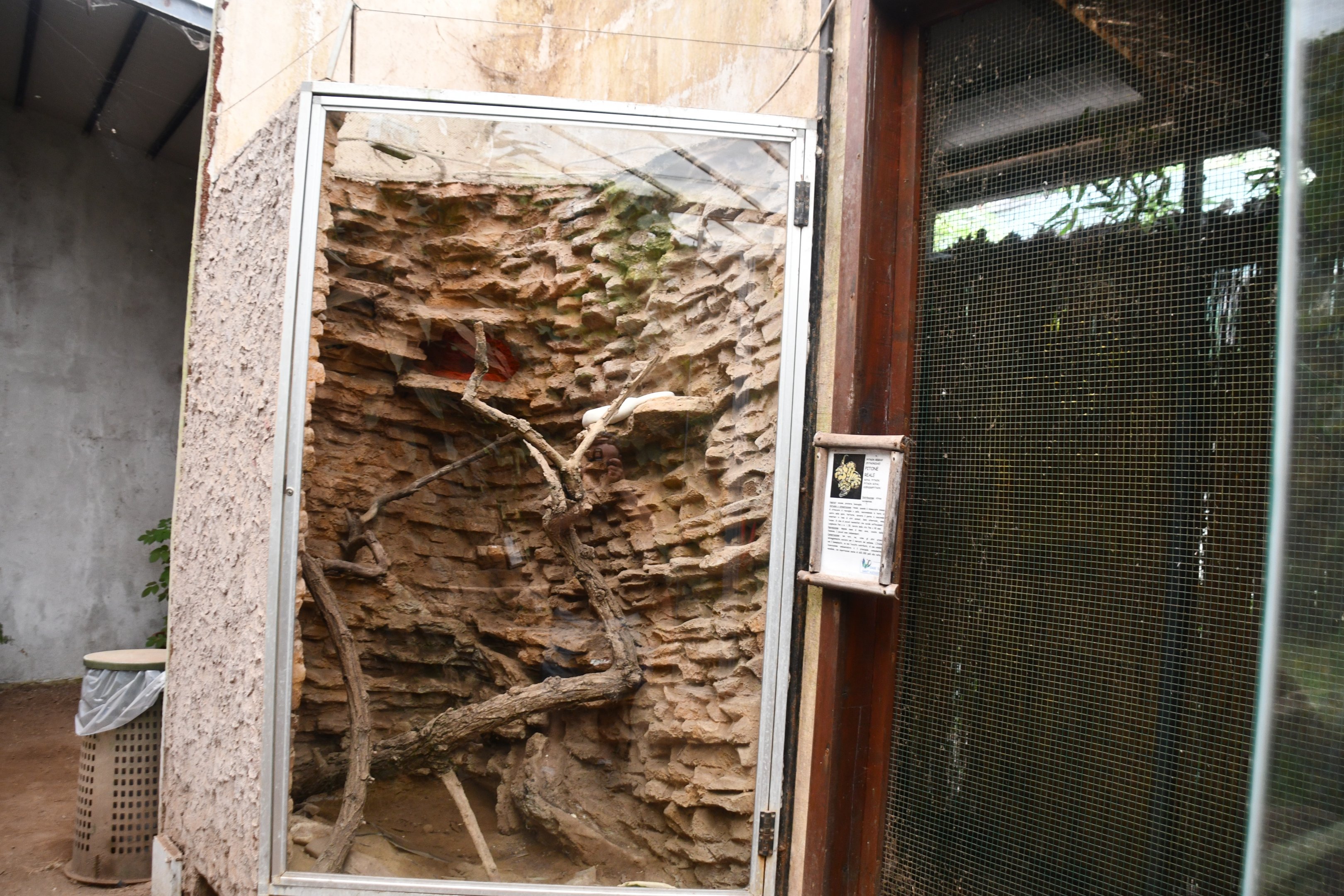 Ball Python exhibit (Tropical Pavilion)