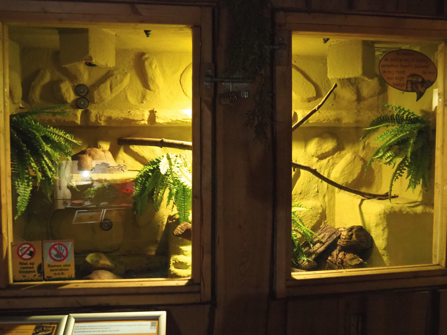 Ball python terrarium, 2020-09-12