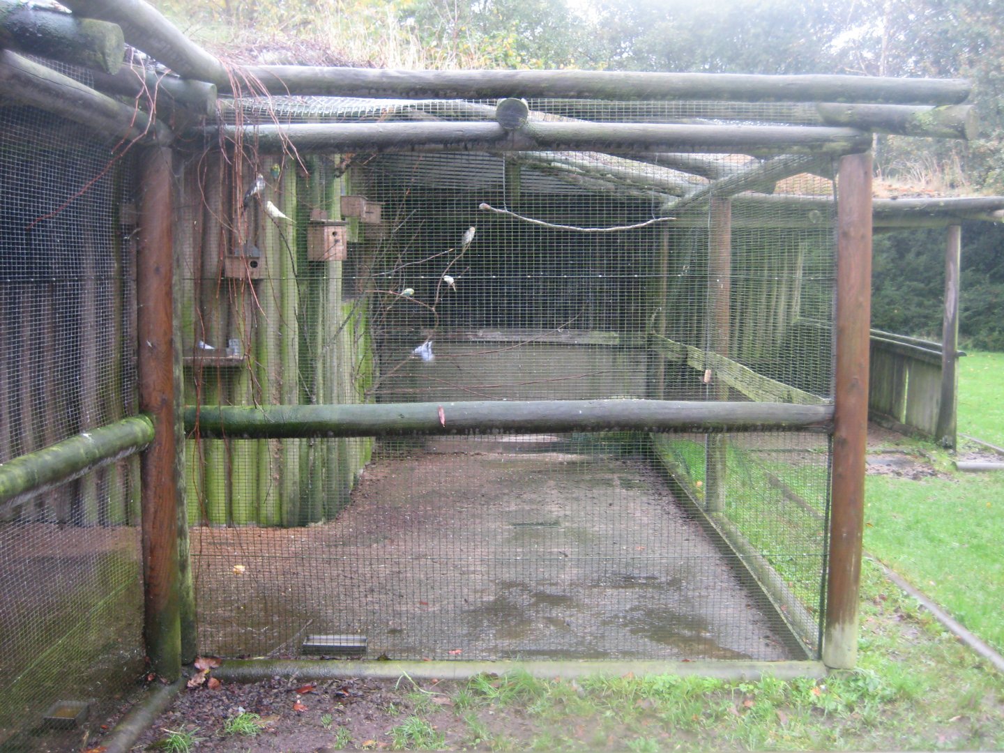 Balling Bypark - Aviary