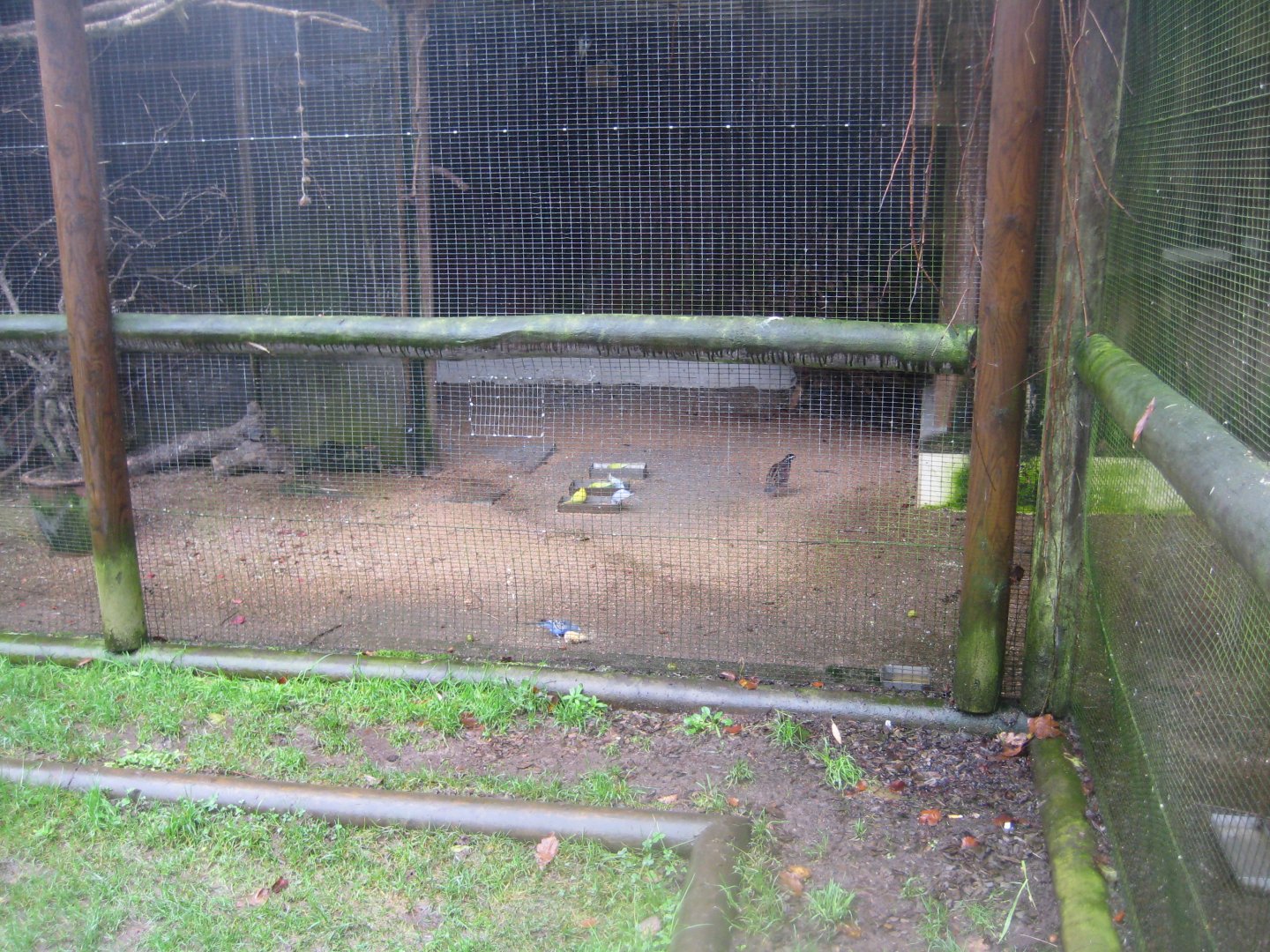 Balling Bypark - Aviary