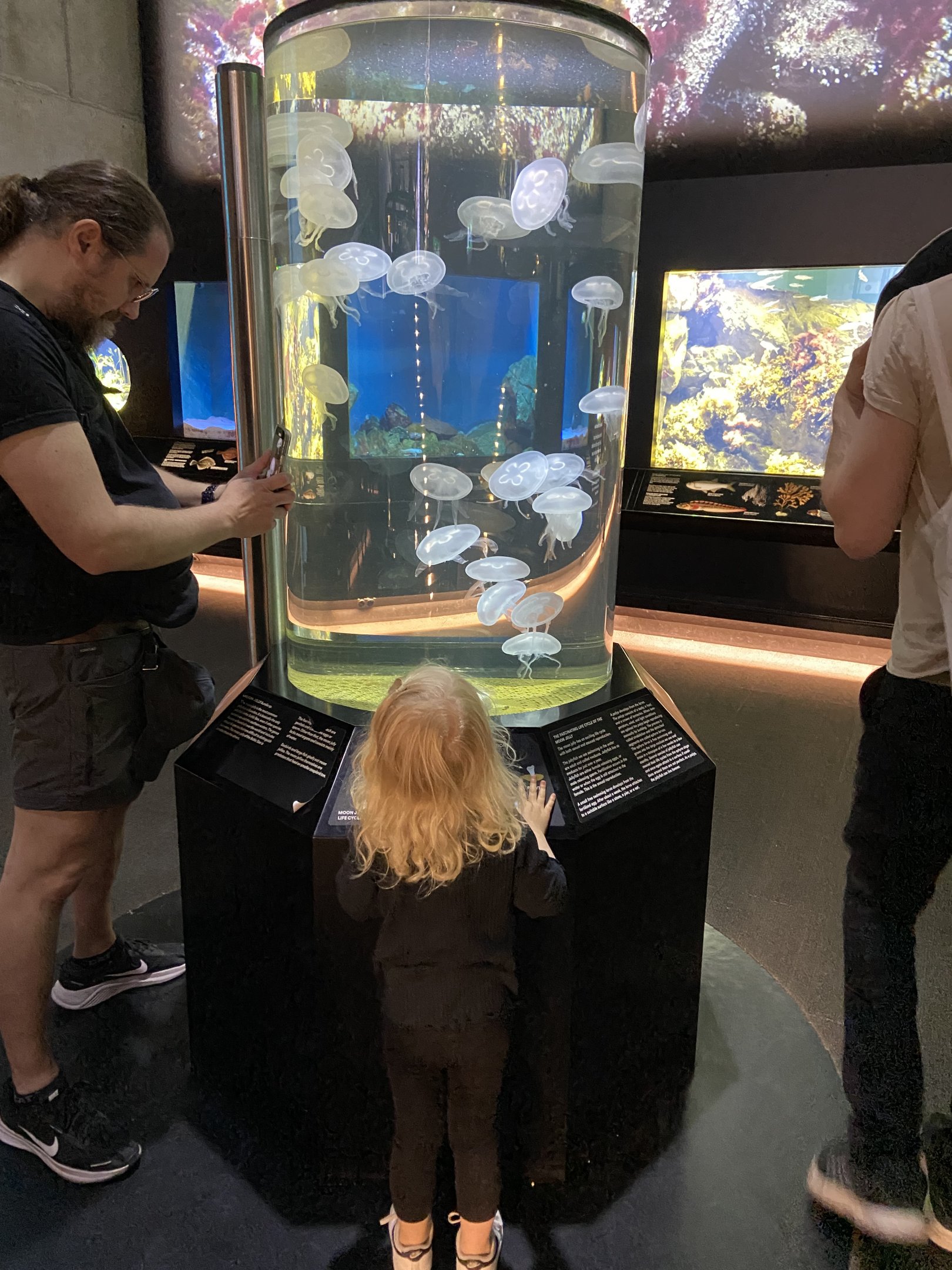 Baltic sea center 2022