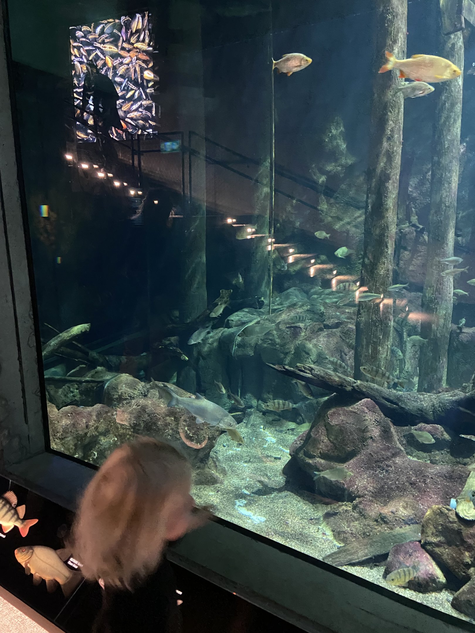 Baltic sea center 2022