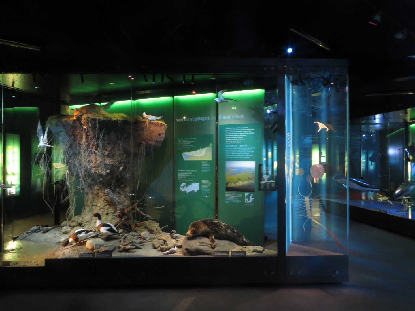 Baltic sea exposition