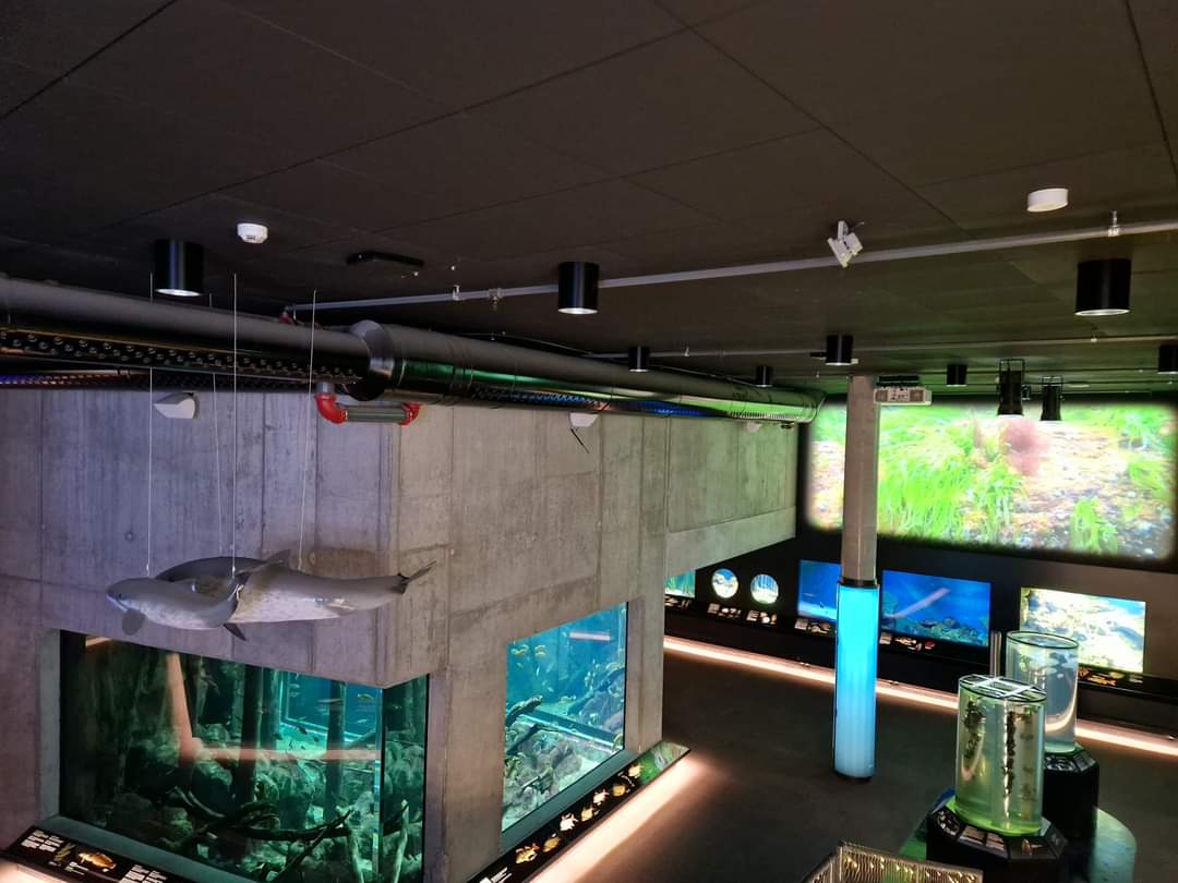 Baltic Sea Science Center,  1st level