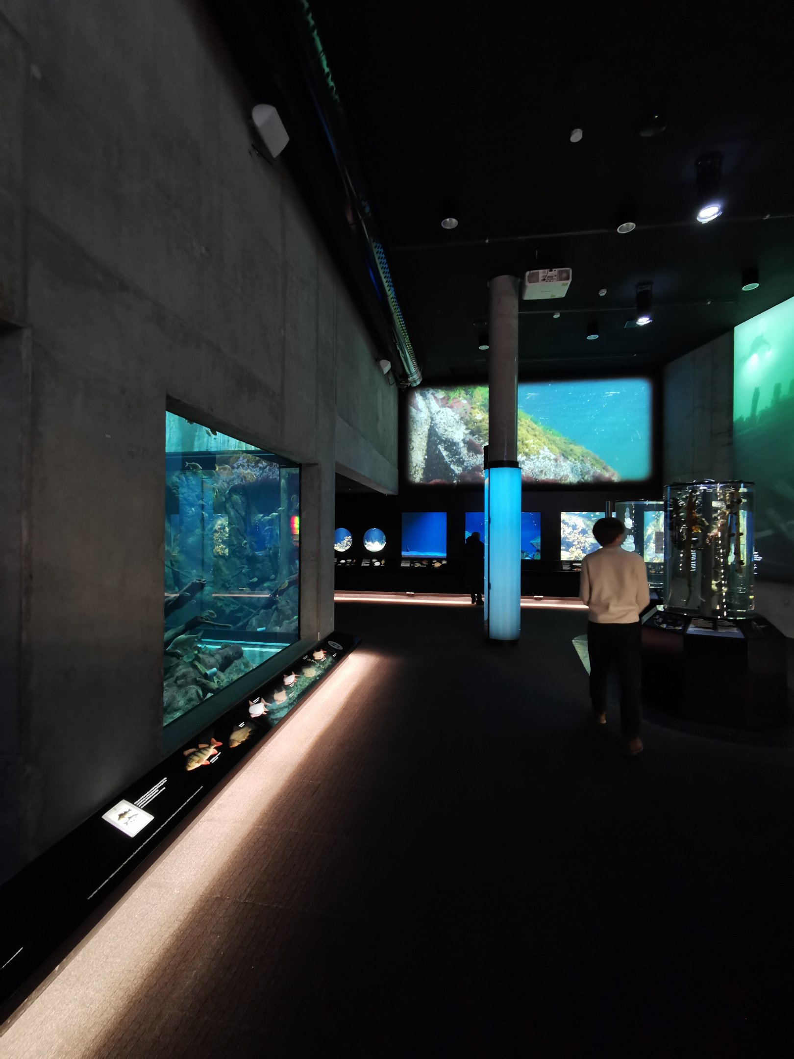 Baltic Sea Science Center - Inside