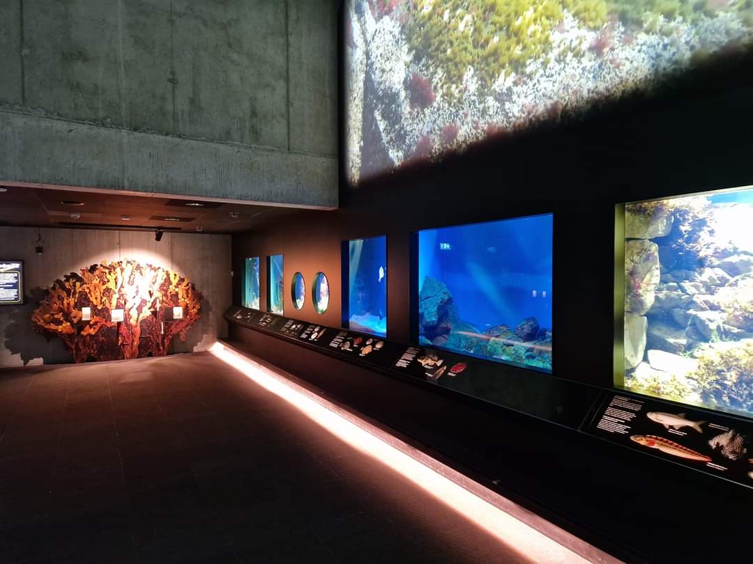 Baltic Sea Science Center, Small aquariums