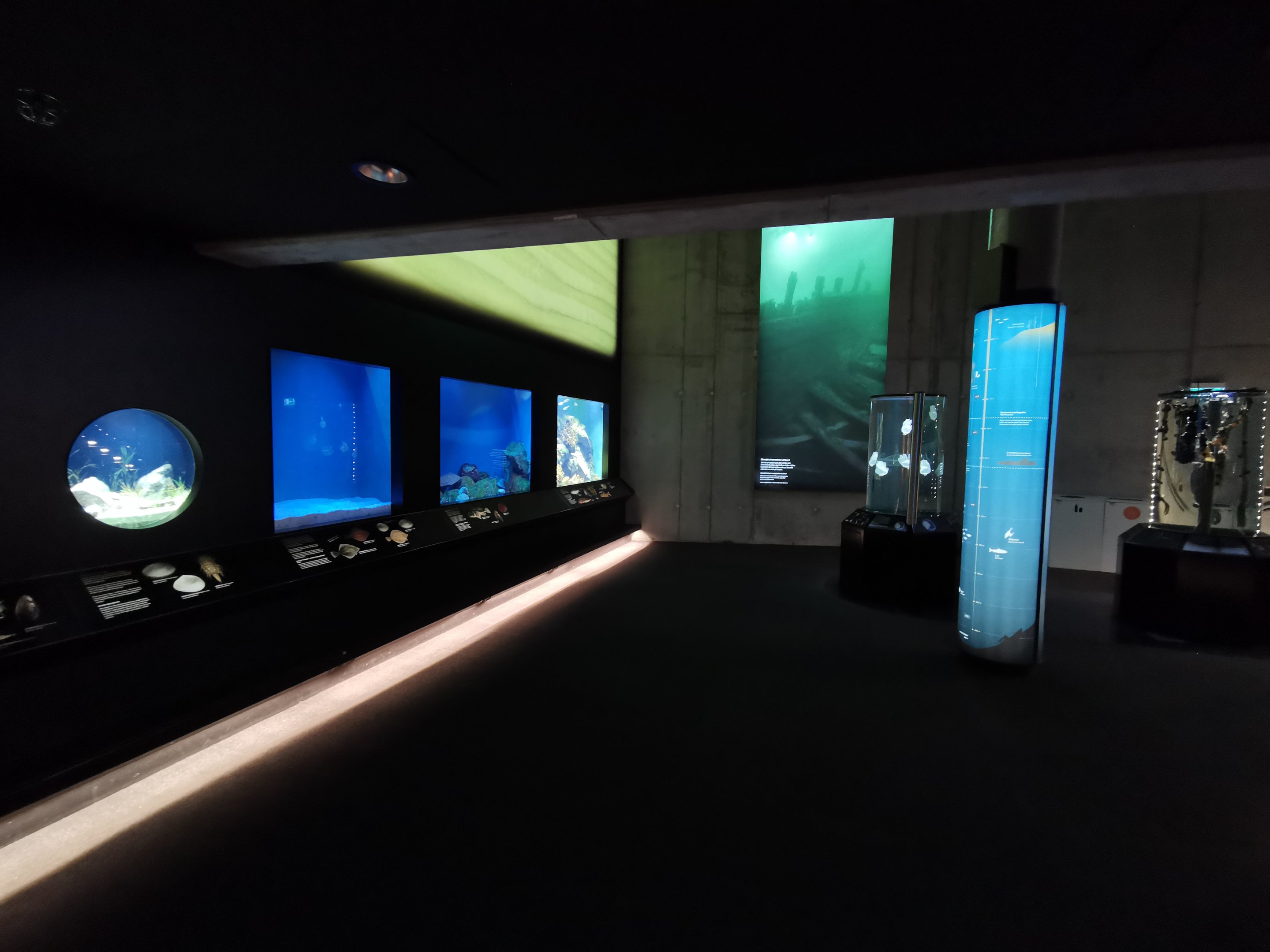 Baltic Sea Science Center - "The habitat aquariums"