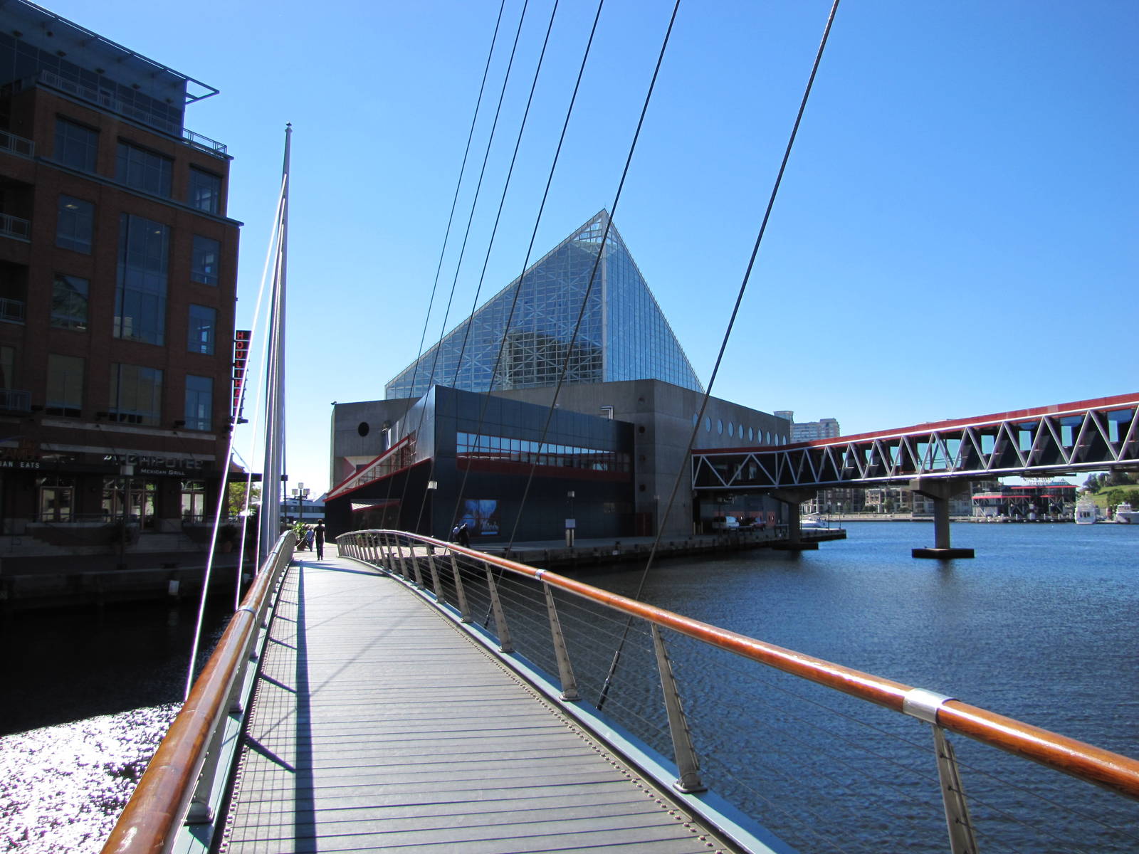 Baltimore Aquarium 2010 - Bottlenose Dolphin Amphitheater building