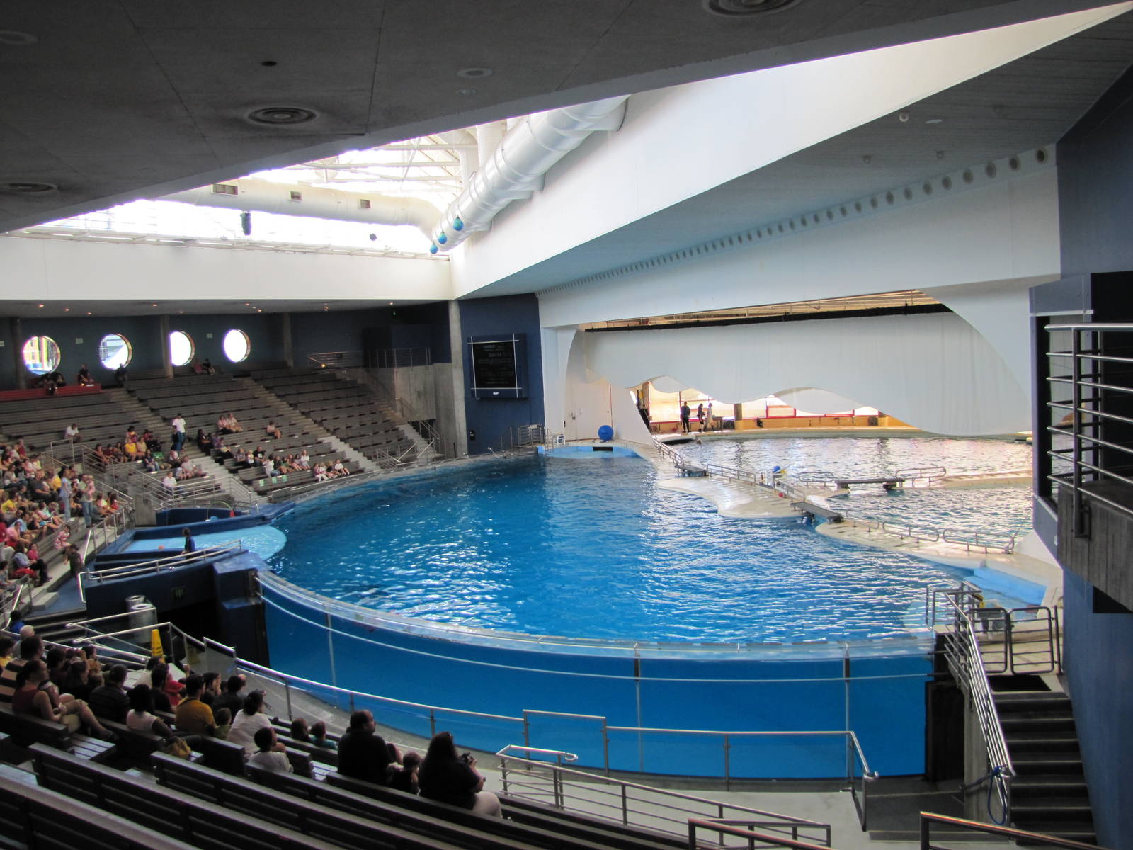 Baltimore Aquarium 2010 - Bottlenose Dolphin Amphitheater from the left