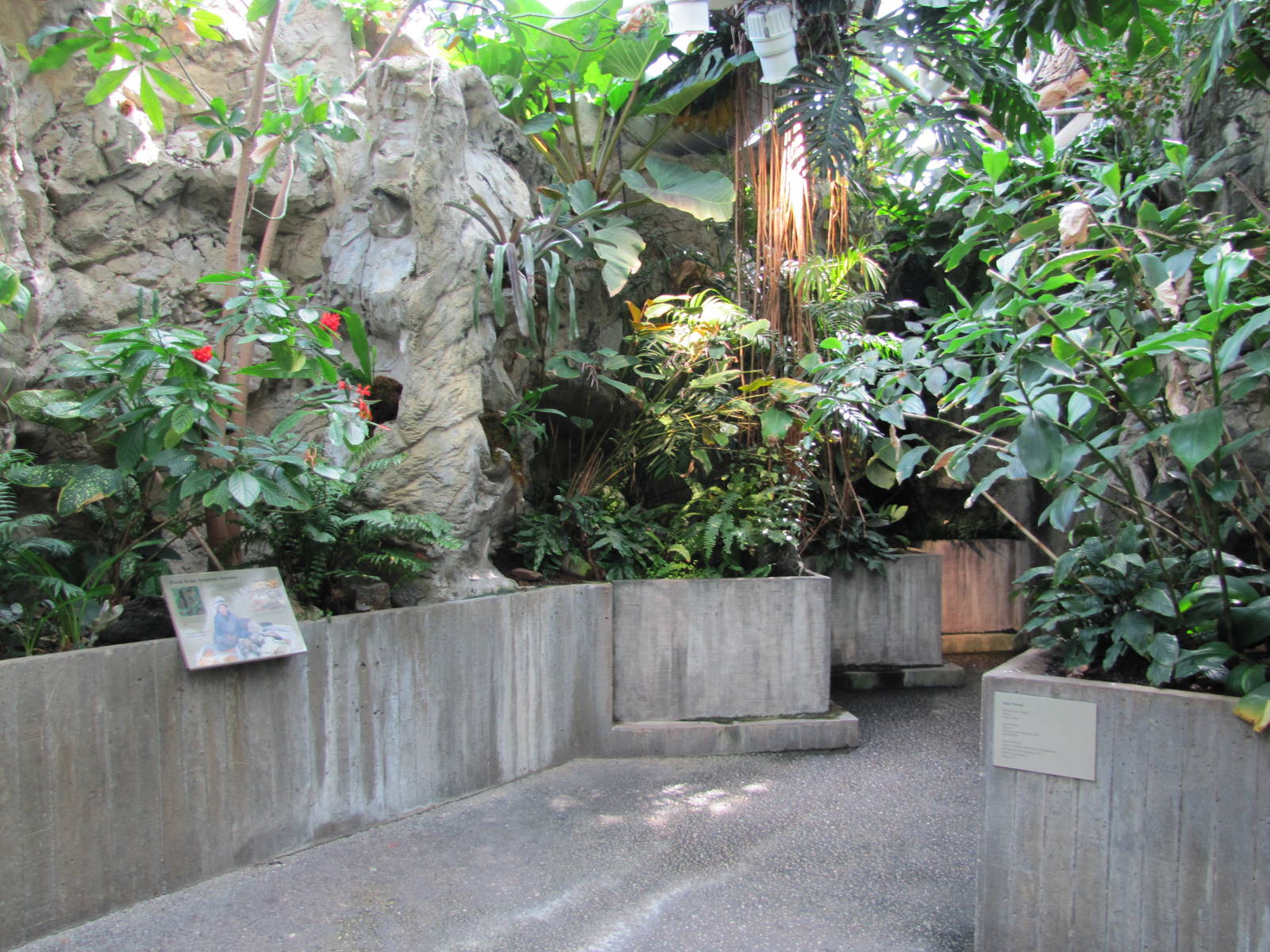 Baltimore Aquarium 2010 - General view from Upland Tropical Rain Forest on