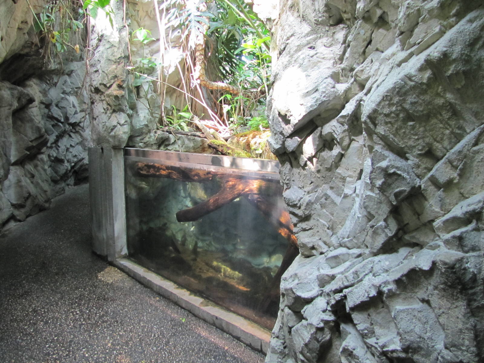 Baltimore Aquarium 2010 - General view from Upland Tropical Rain Forest on
