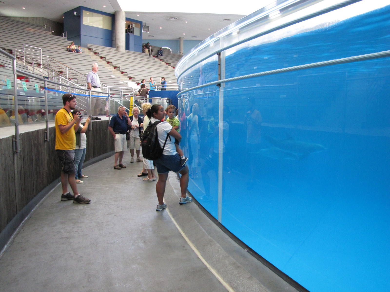 Baltimore Aquarium 2010 - Visitors observe Dolphins after the show