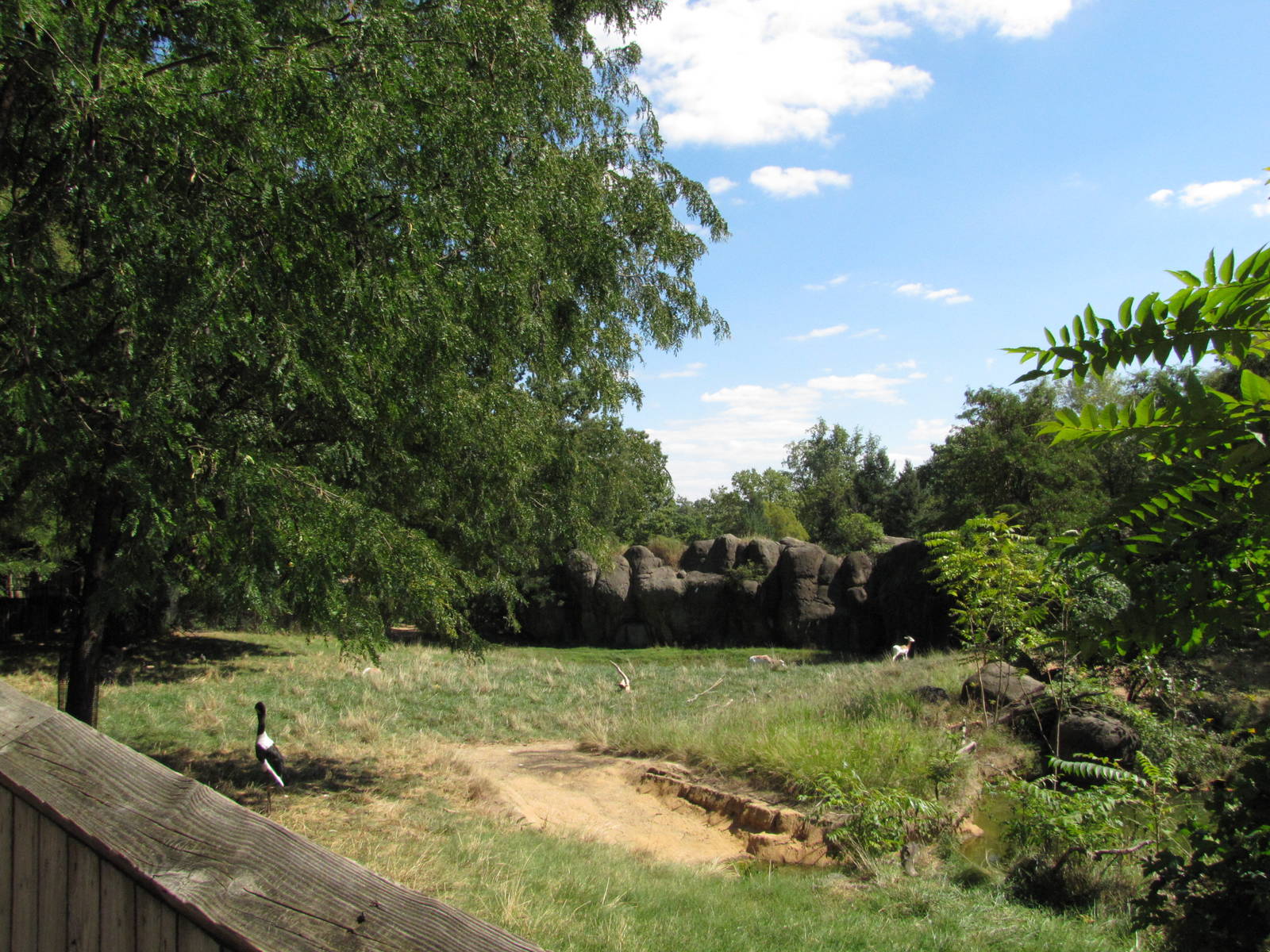 Baltimore Zoo - Addra Gazelle exhibit in African Journey