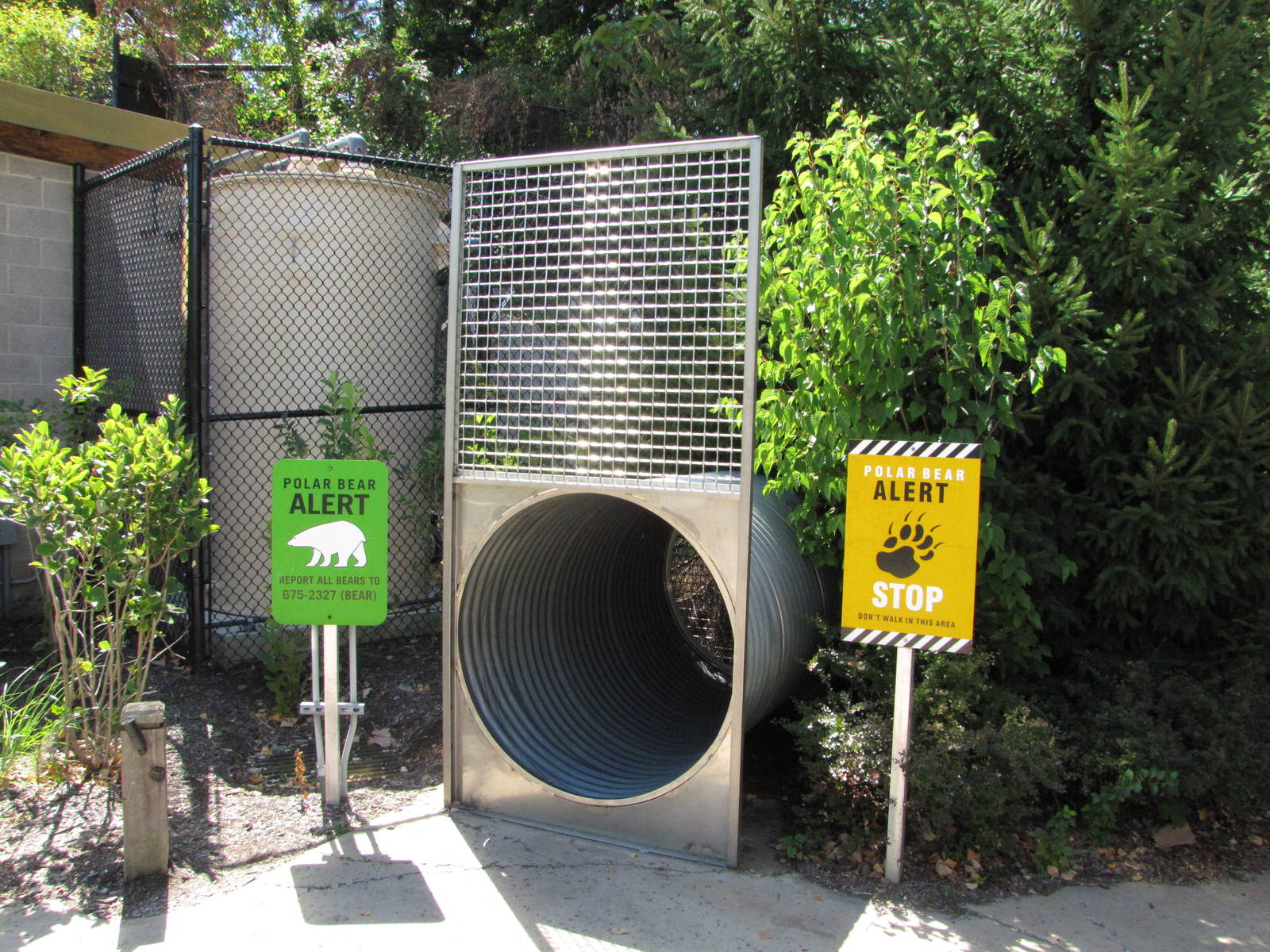 Baltimore Zoo - Canadian Bear Trap from Churchill in Polar Bear Watch