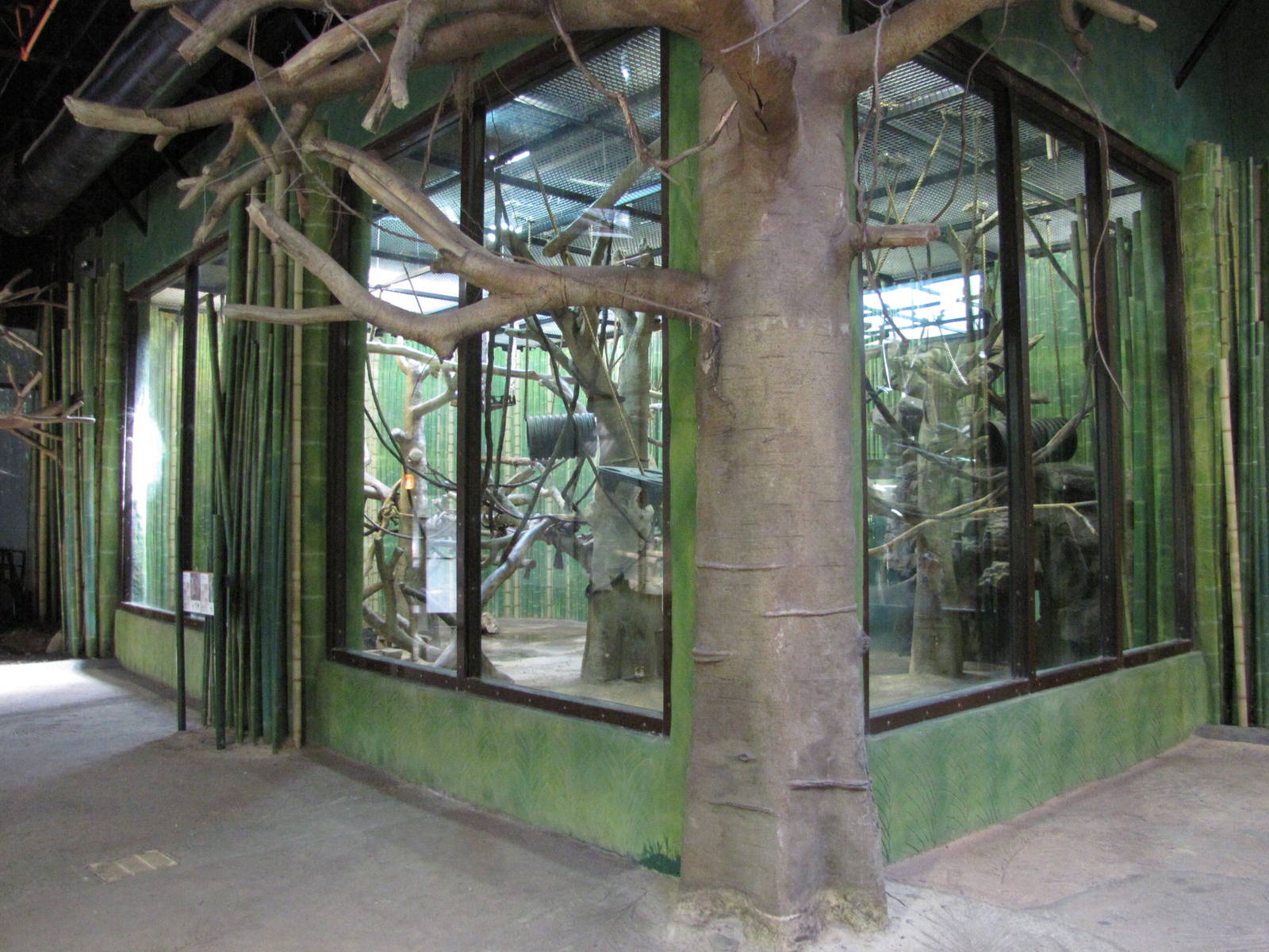 Baltimore Zoo - General view inside the Primate House