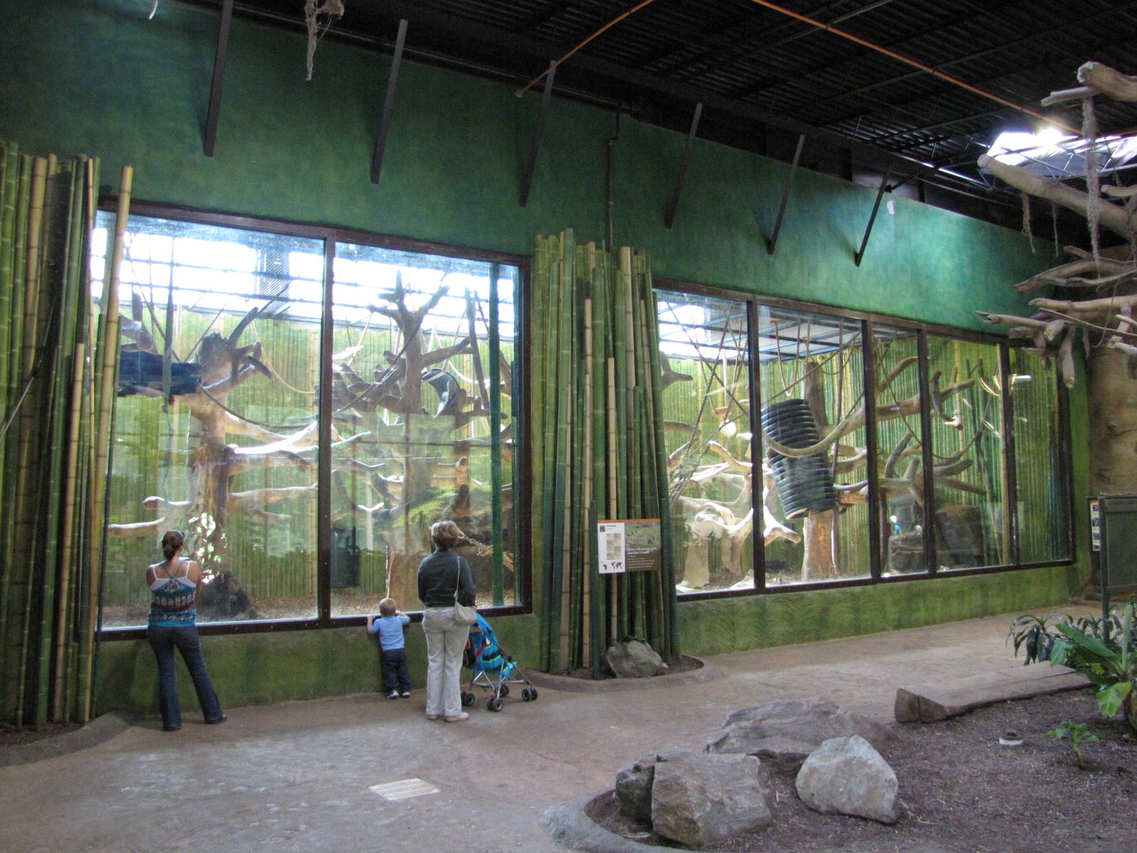 Baltimore Zoo - General view inside the Primate House