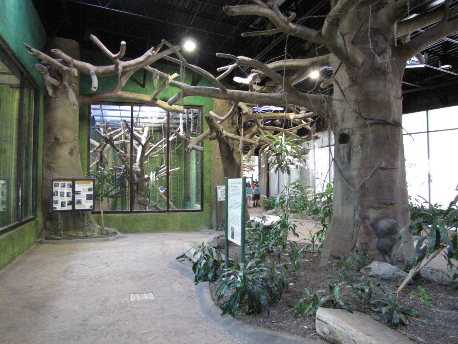 Baltimore Zoo - General view inside the Primate House