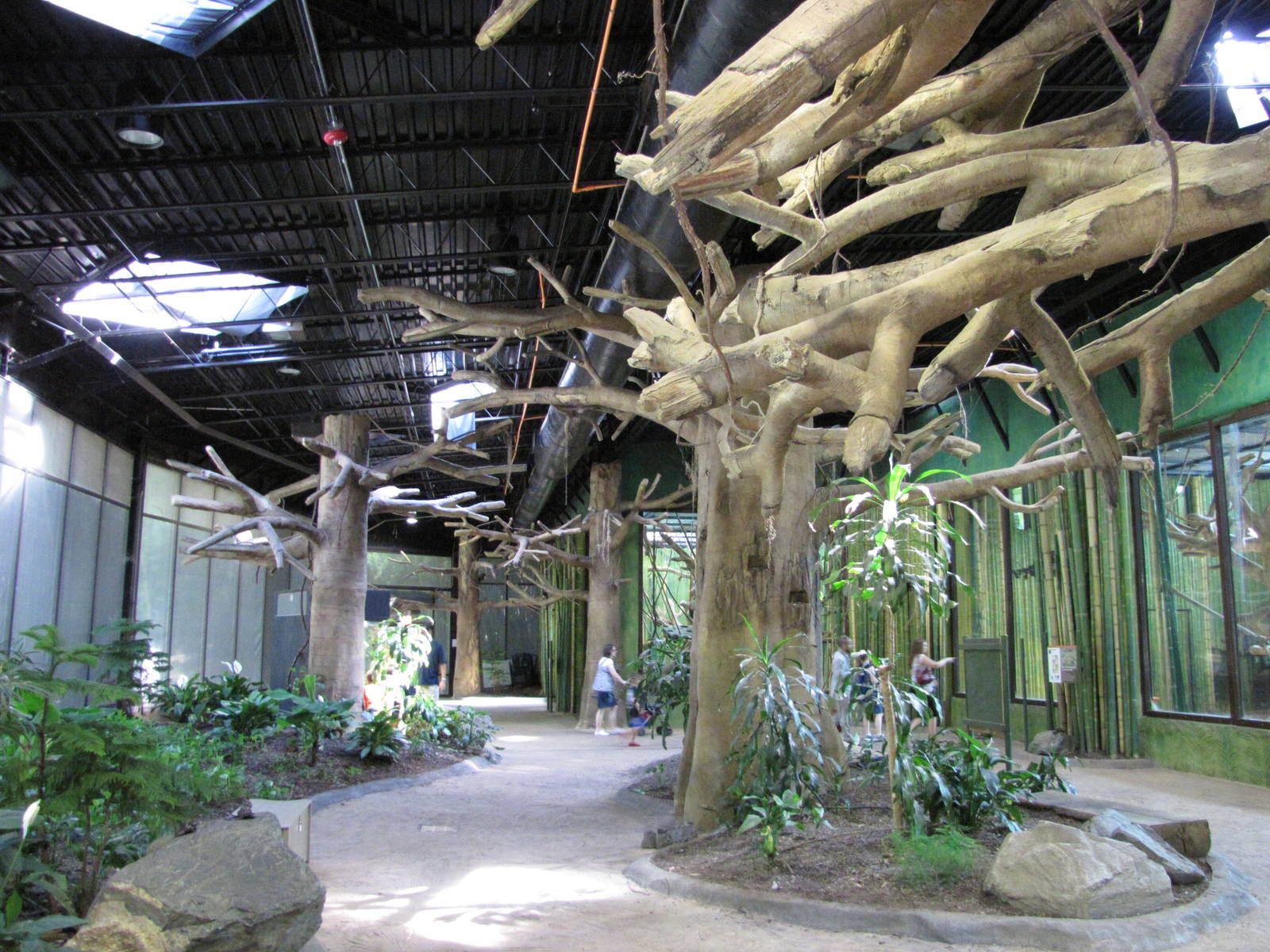 Baltimore Zoo - General view inside the Primate House