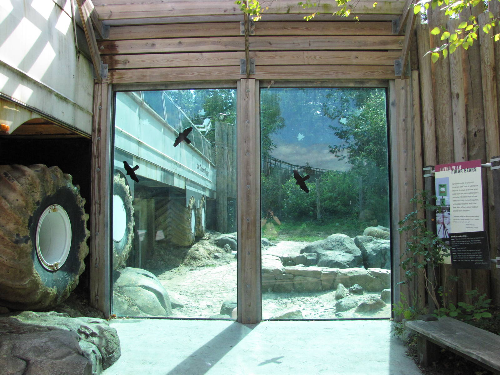 Baltimore Zoo - General view of Polar Bear Watch