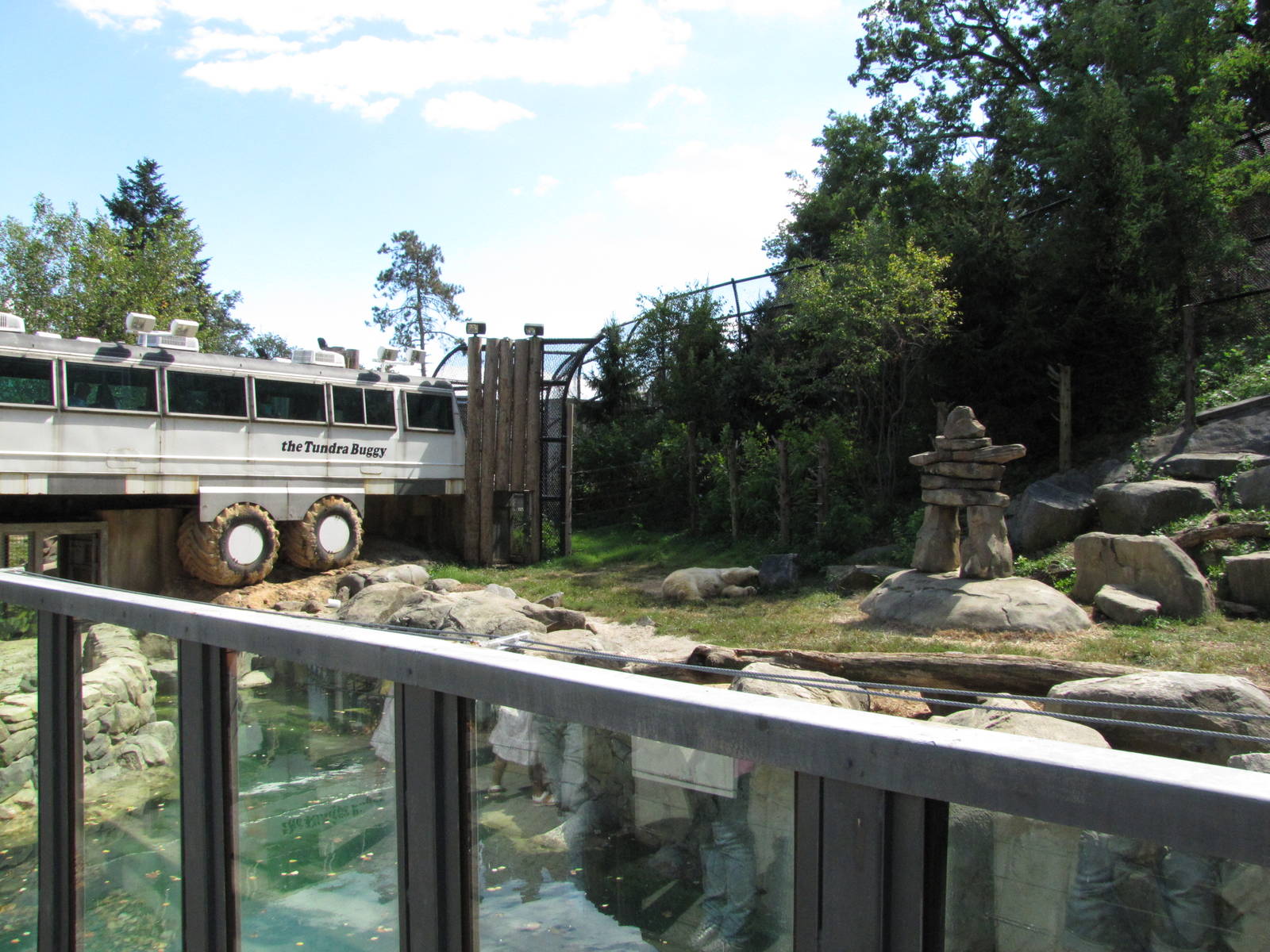 Baltimore Zoo - General view of Polar Bear Watch