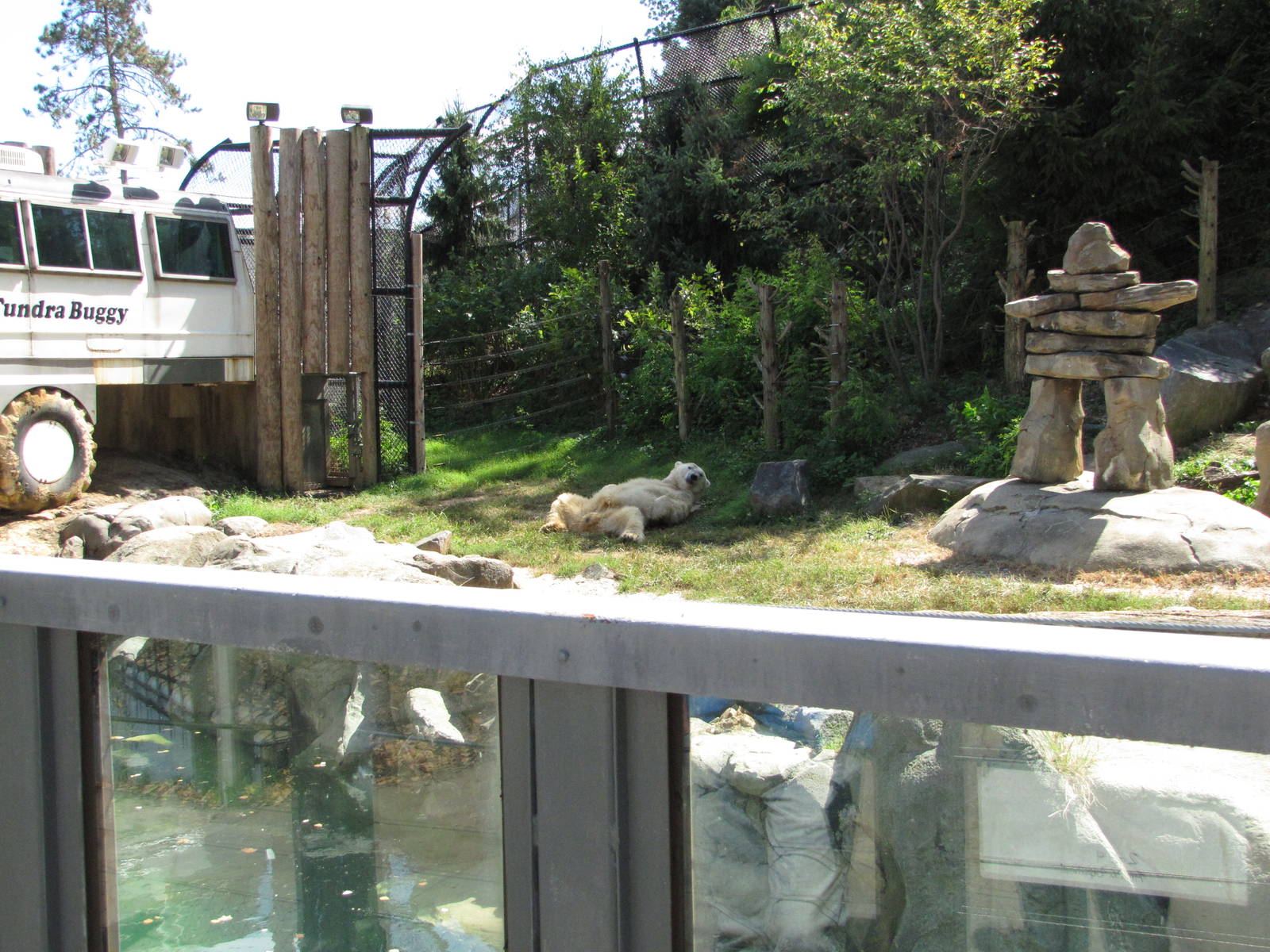 Baltimore Zoo - General view of Polar Bear Watch