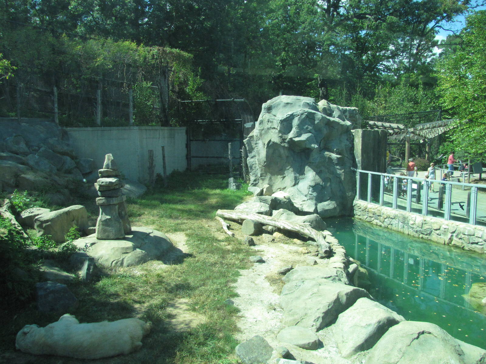 Baltimore Zoo - General view of Polar Bear Watch