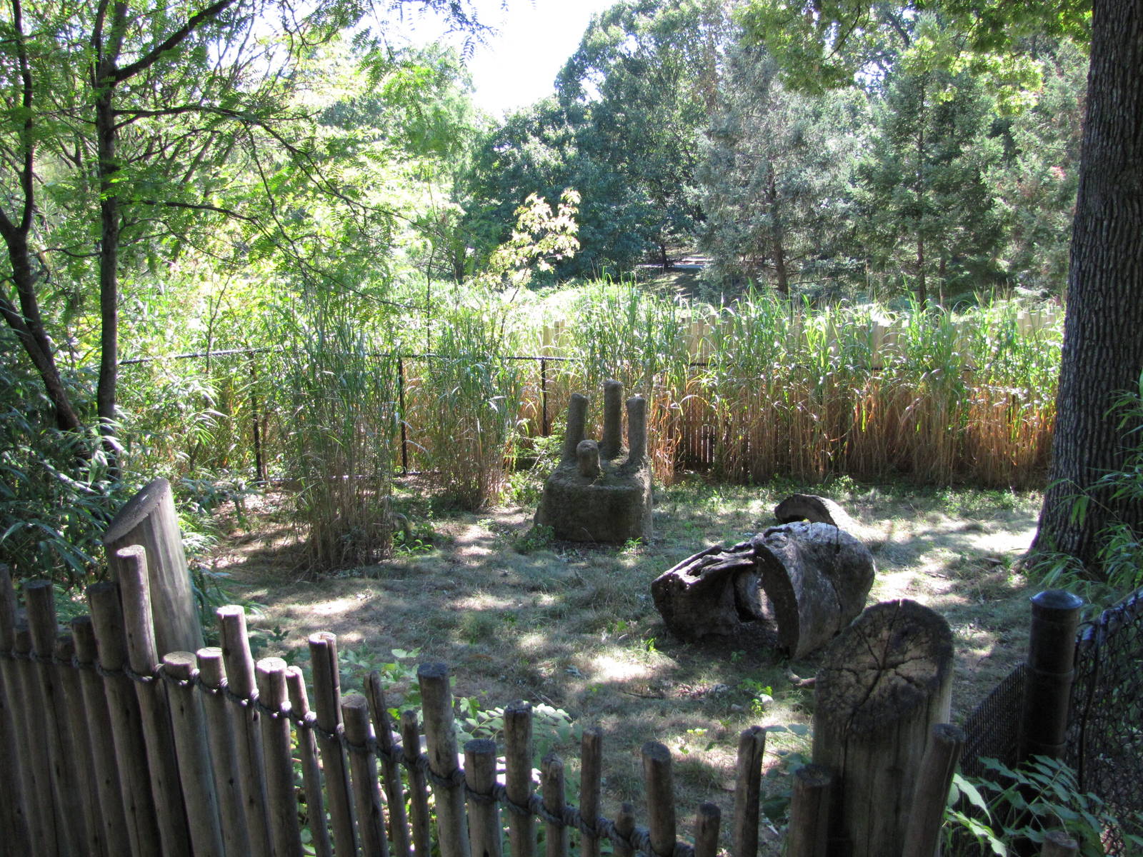 Baltimore Zoo - Kirks Dik Dik exhibit in African Journey