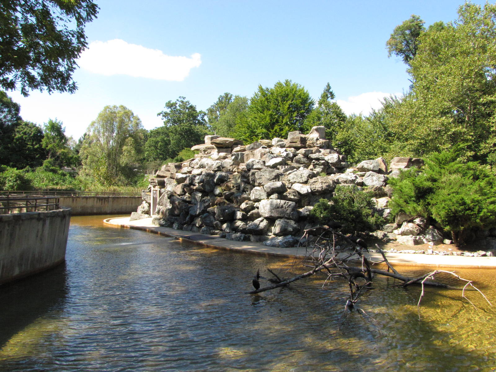 Baltimore Zoo - Large Jackass Penguin exhibit