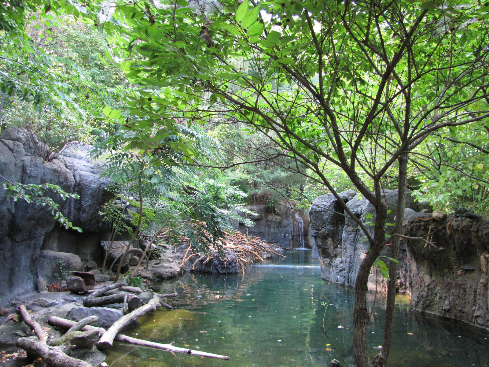 Baltimore Zoo - North American River Otter exhibit in Childrens Zoo