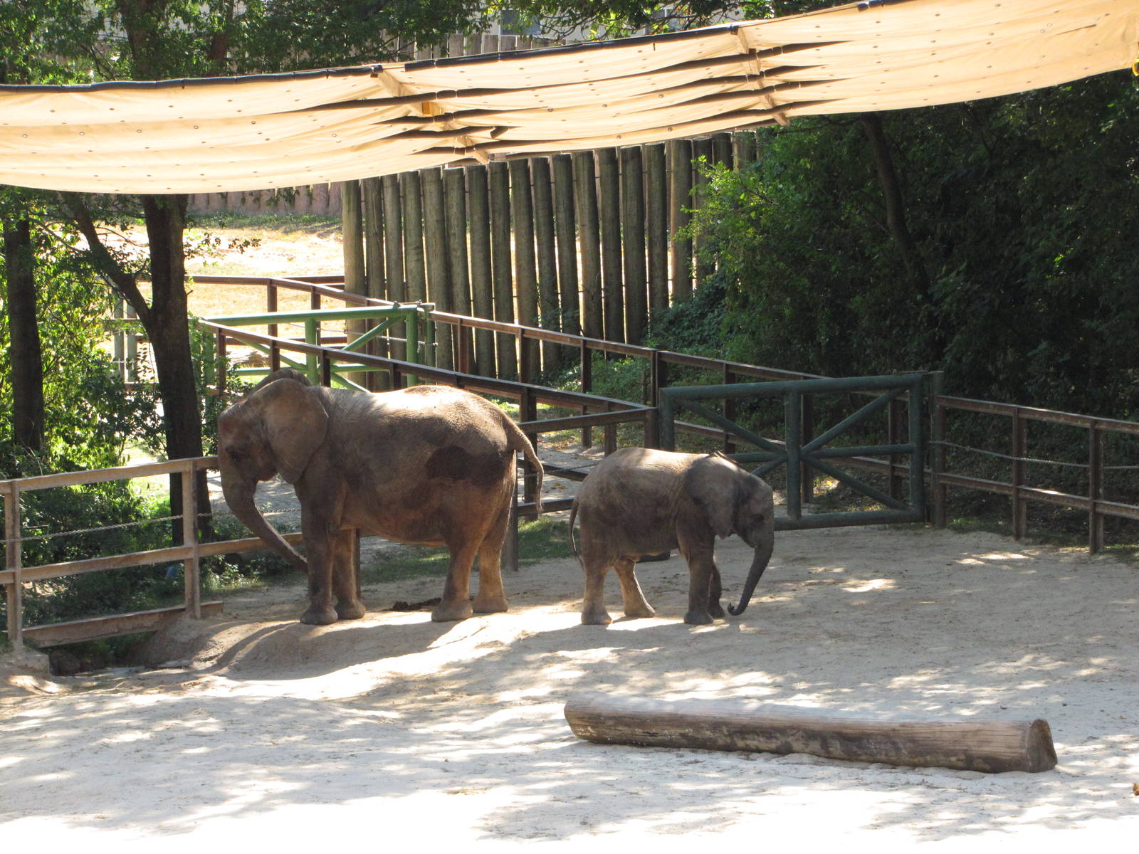 Baltimore Zoo - Part of African Elephant exhibit