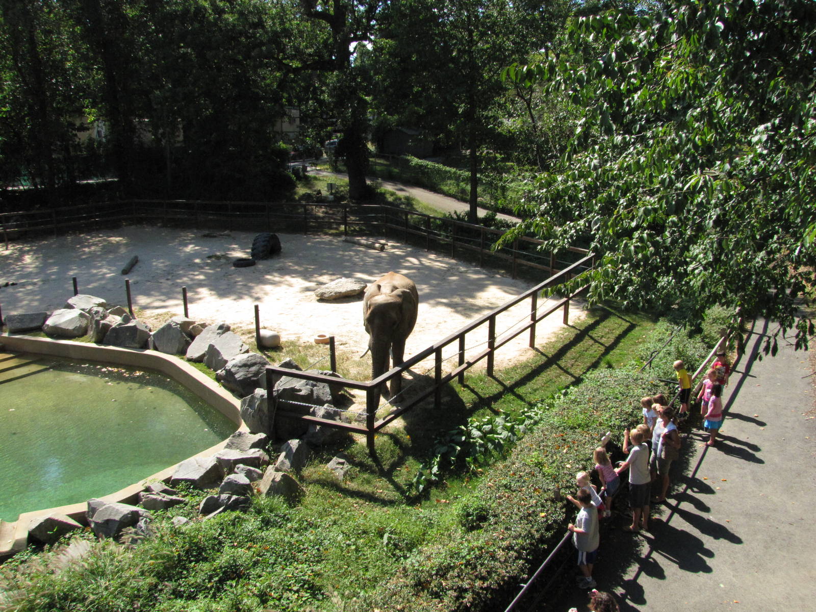 Baltimore Zoo - Part of African Elephant exhibit