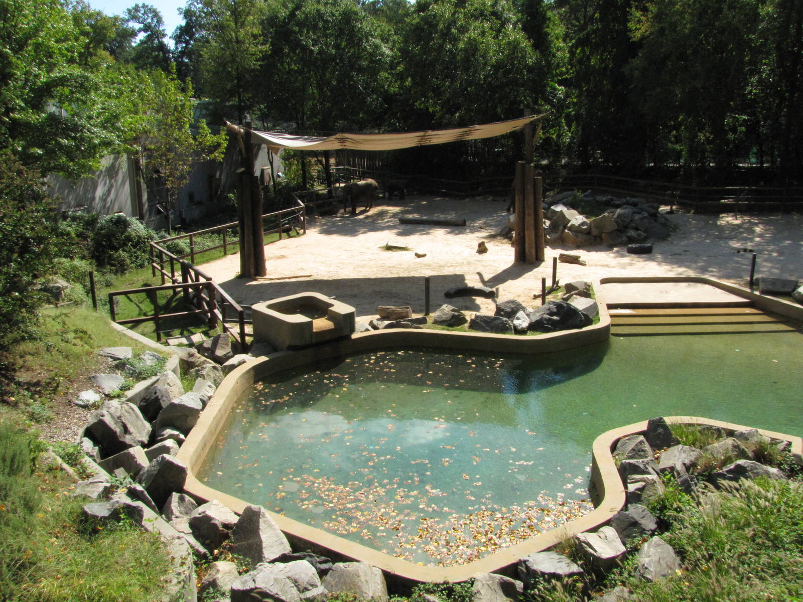 Baltimore Zoo - Part of African Elephant exhibit
