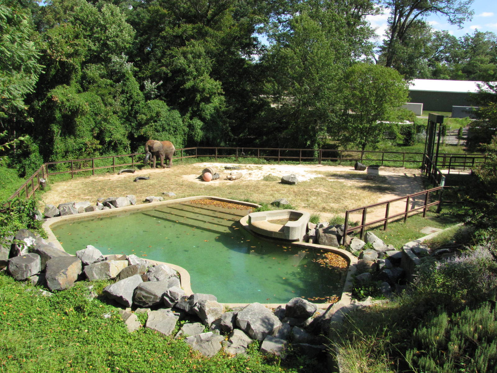 Baltimore Zoo - Part of African Elephant exhibit