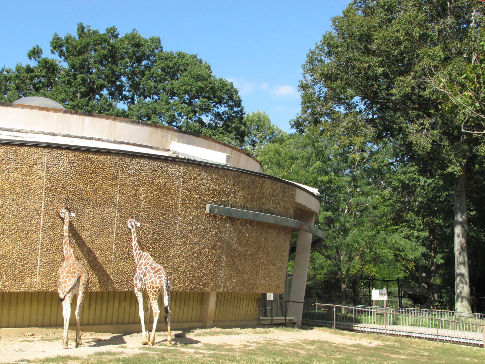 Baltimore Zoo - Part of the Giraffe and Okapi exhibits