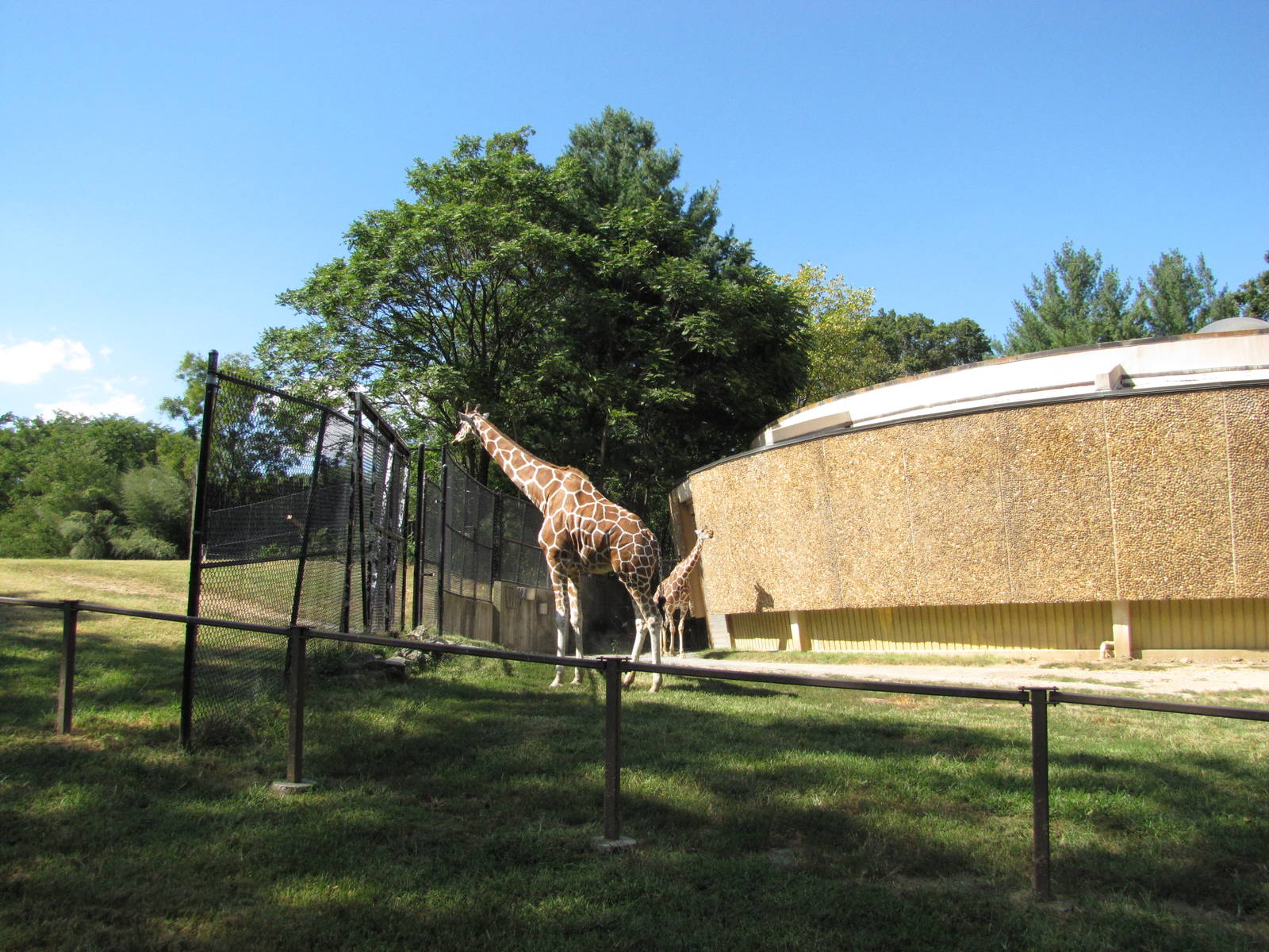 Baltimore Zoo - Part of the Giraffe exhibit