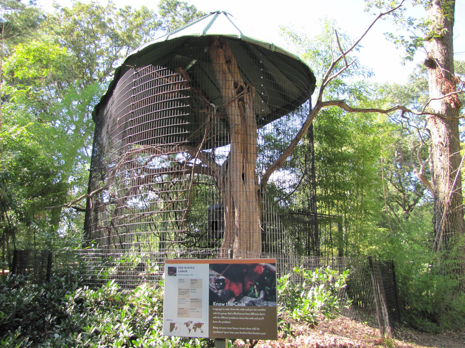 Baltimore Zoo - Red Ruffed Lemur cage
