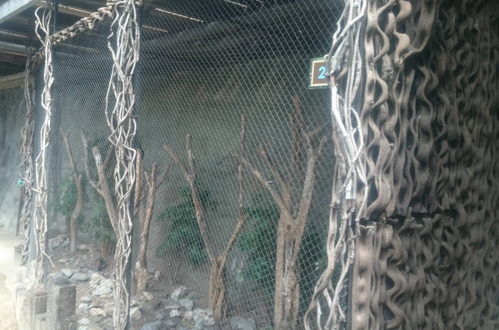 Bamboe Jungle: Butcherbird aviary